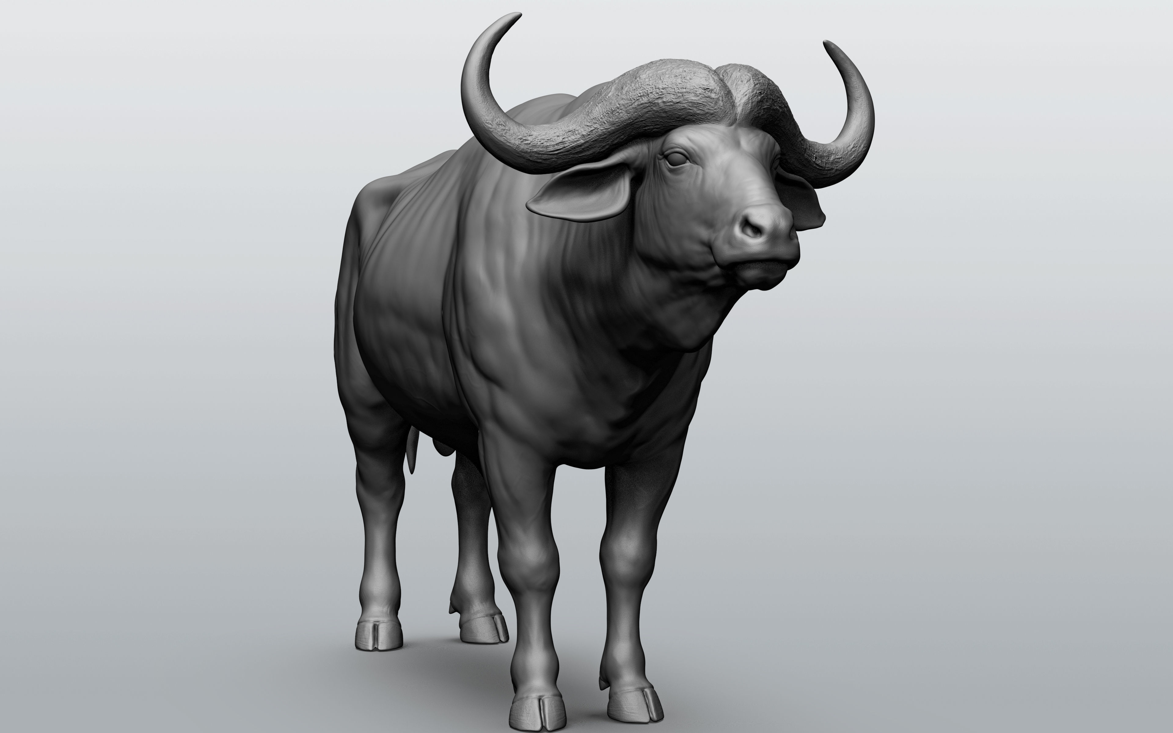 Wild animal collection - 10 animals VOL-3 3D model_2