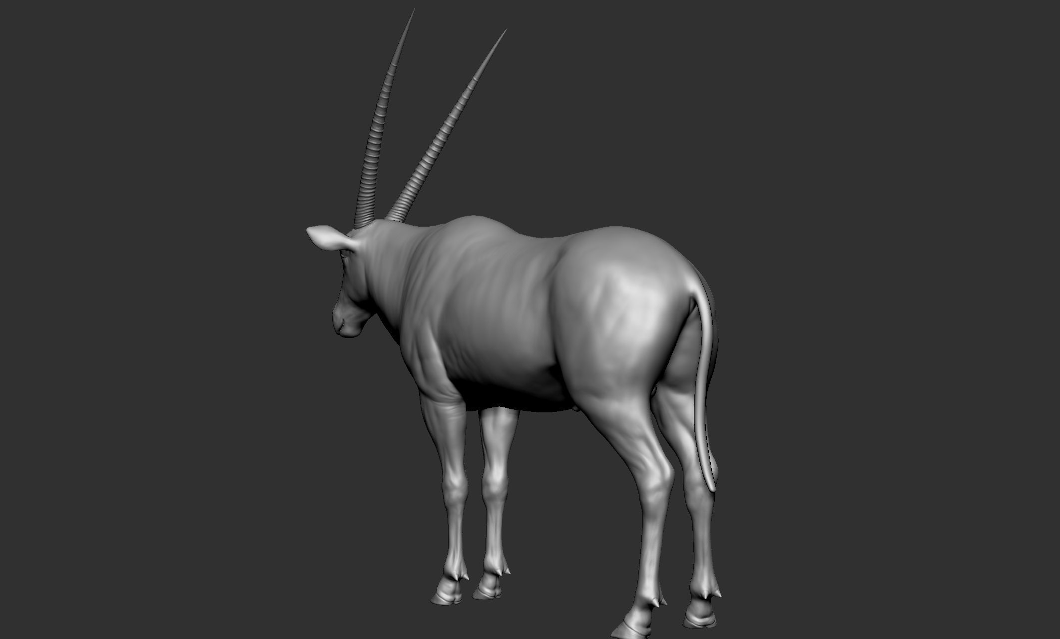 Wild animal collection - 10 animals VOL-3 3D model_52
