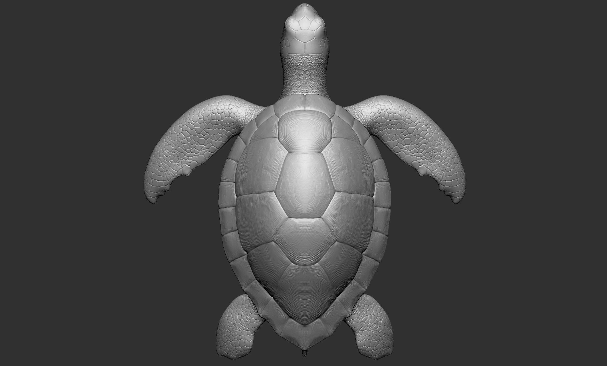 Wild animal collection - 10 animals VOL-3 3D model_61