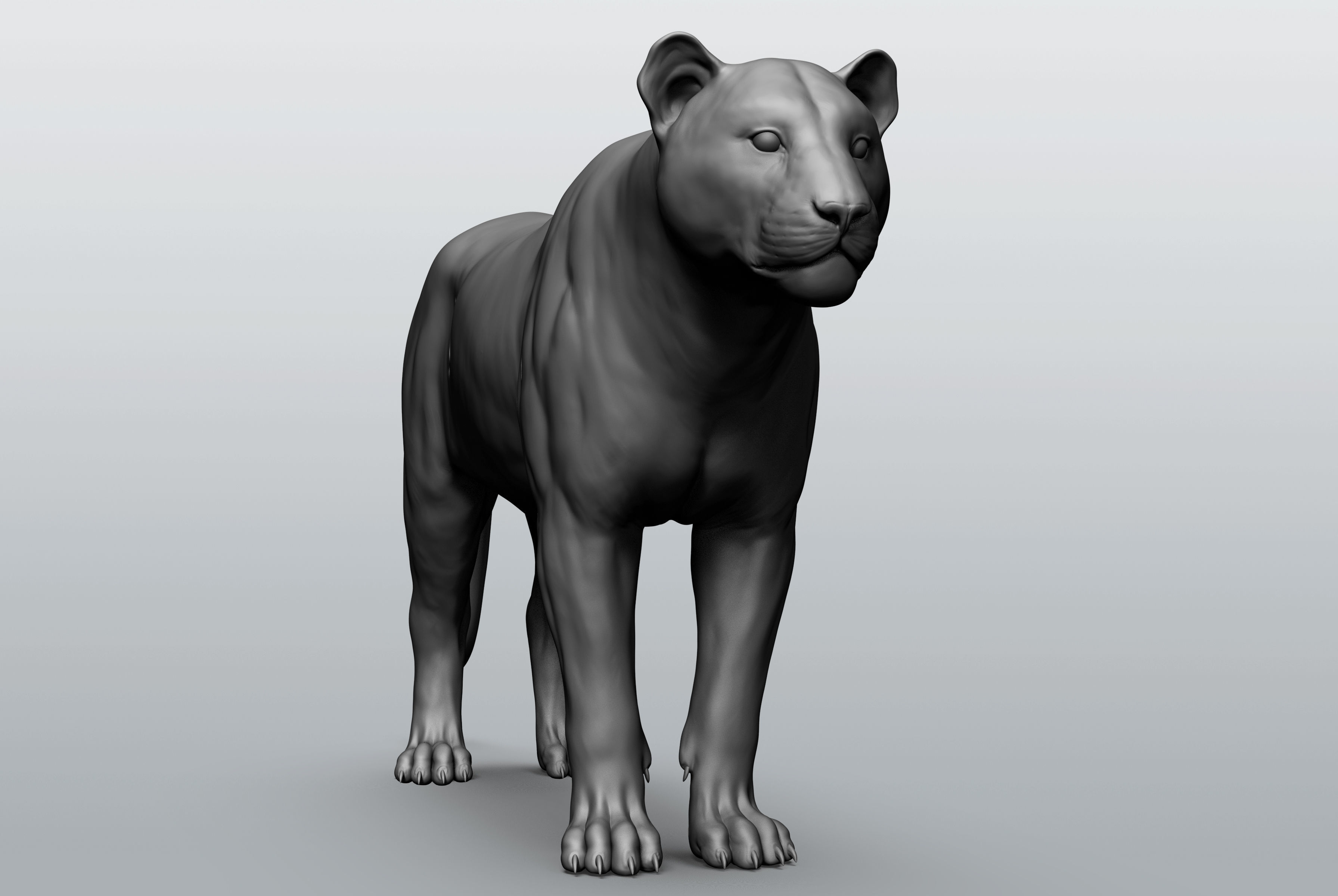 Wild animal collection - 10 animals VOL-3 3D model_25