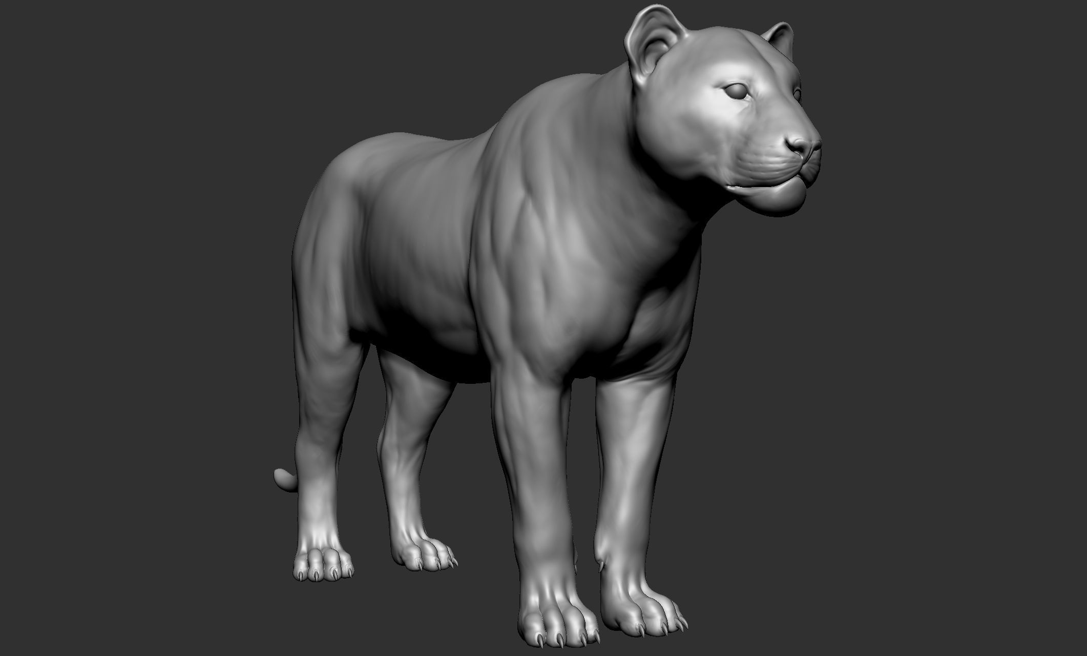 Wild animal collection - 10 animals VOL-3 3D model_30