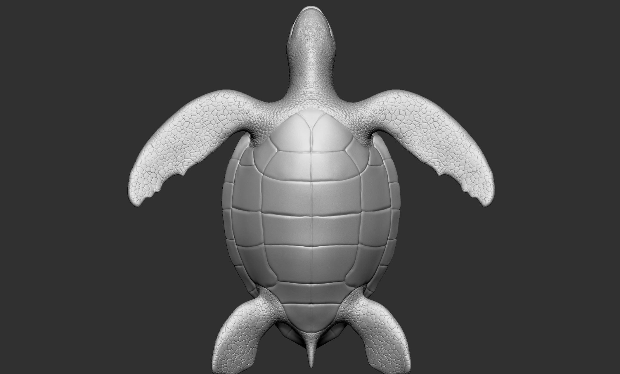 Wild animal collection - 10 animals VOL-3 3D model_64