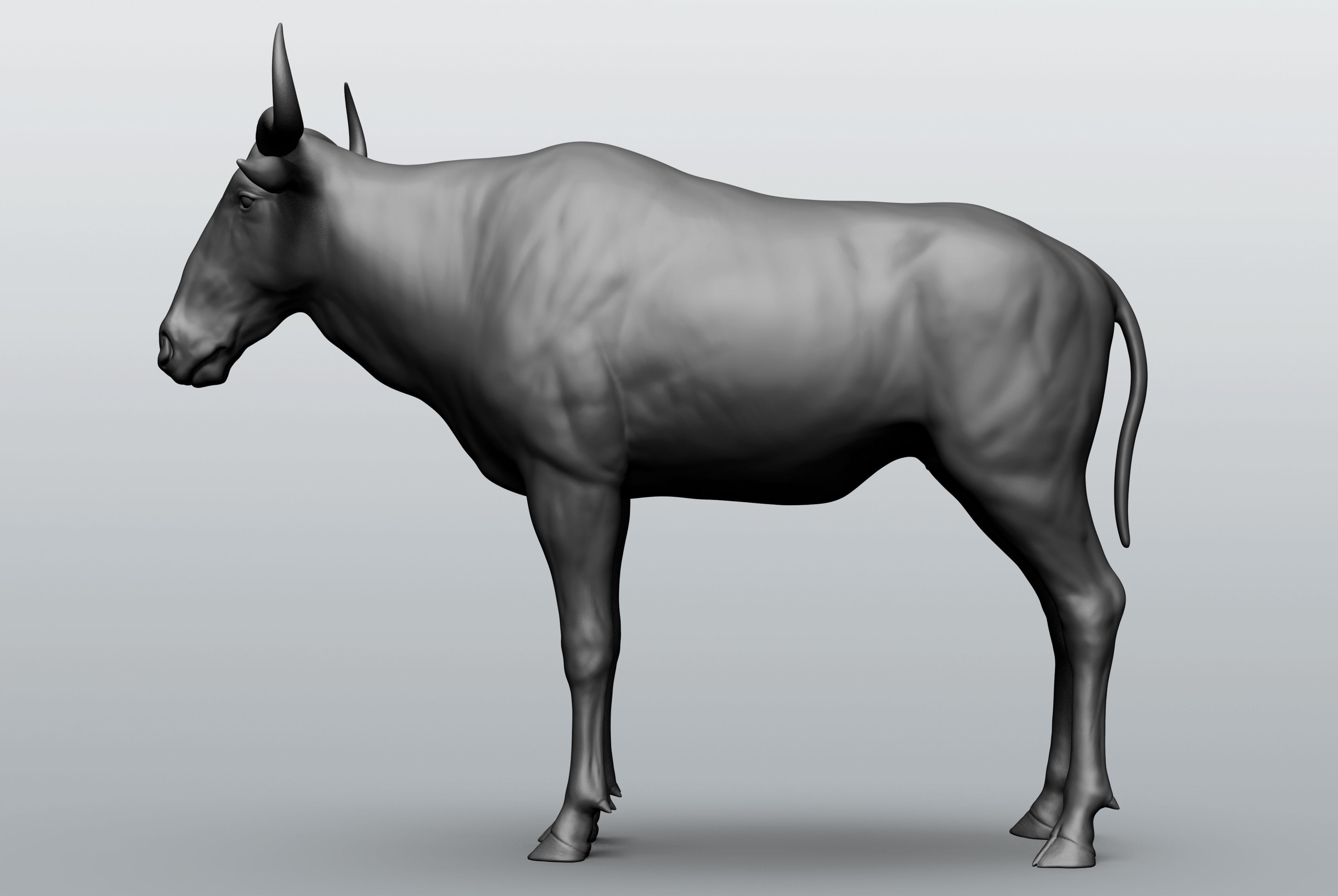 Wild animal collection - 10 animals VOL-3 3D model_34