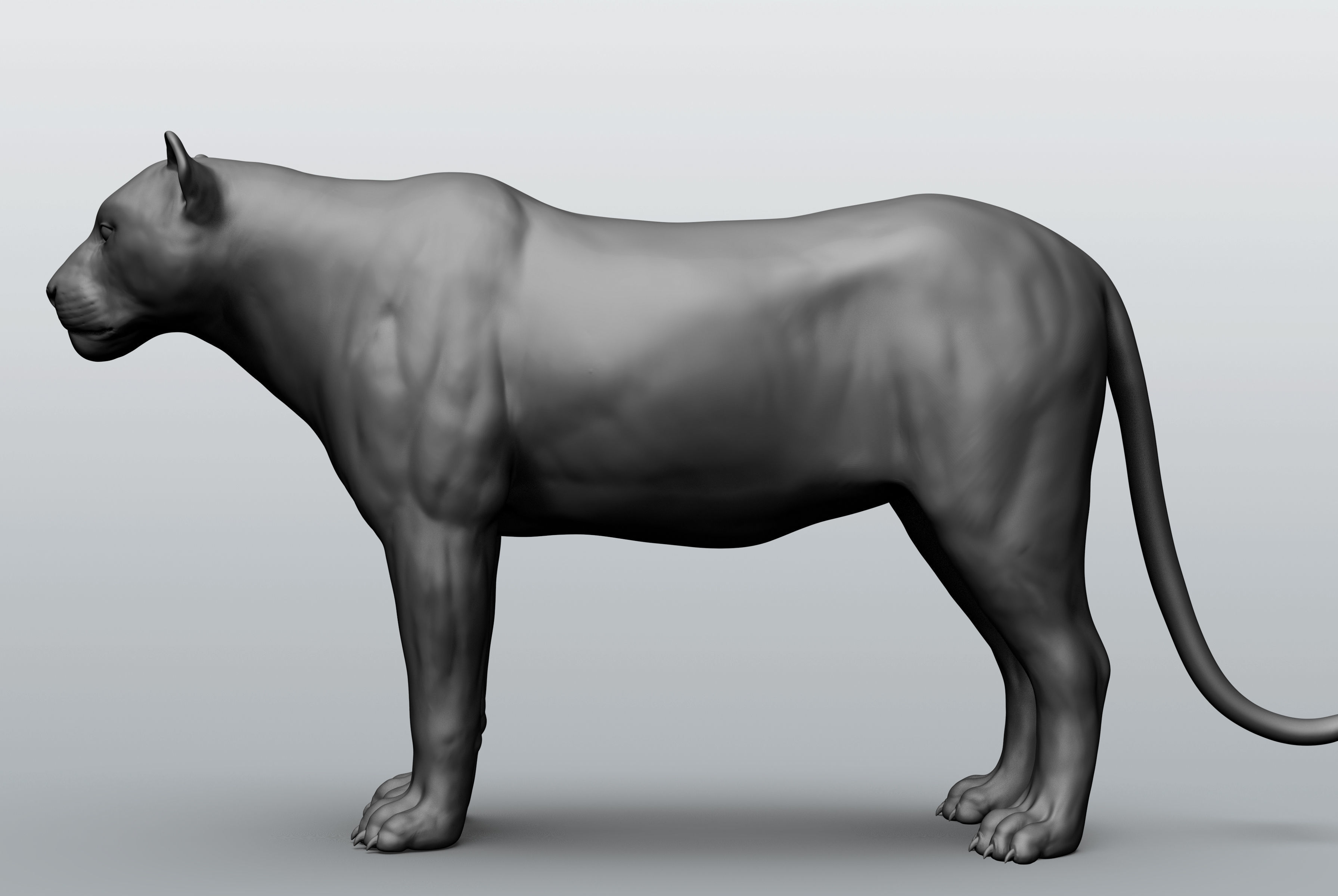 Wild animal collection - 10 animals VOL-3 3D model_26