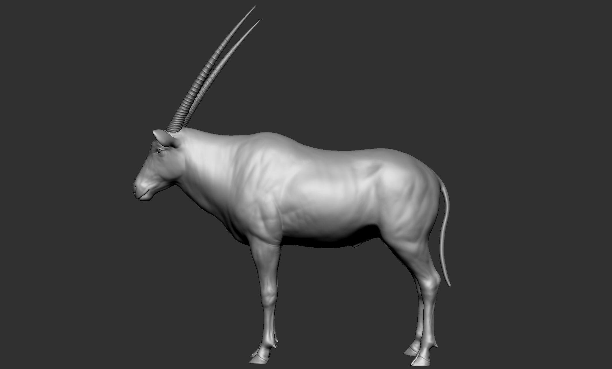 Wild animal collection - 10 animals VOL-3 3D model_51