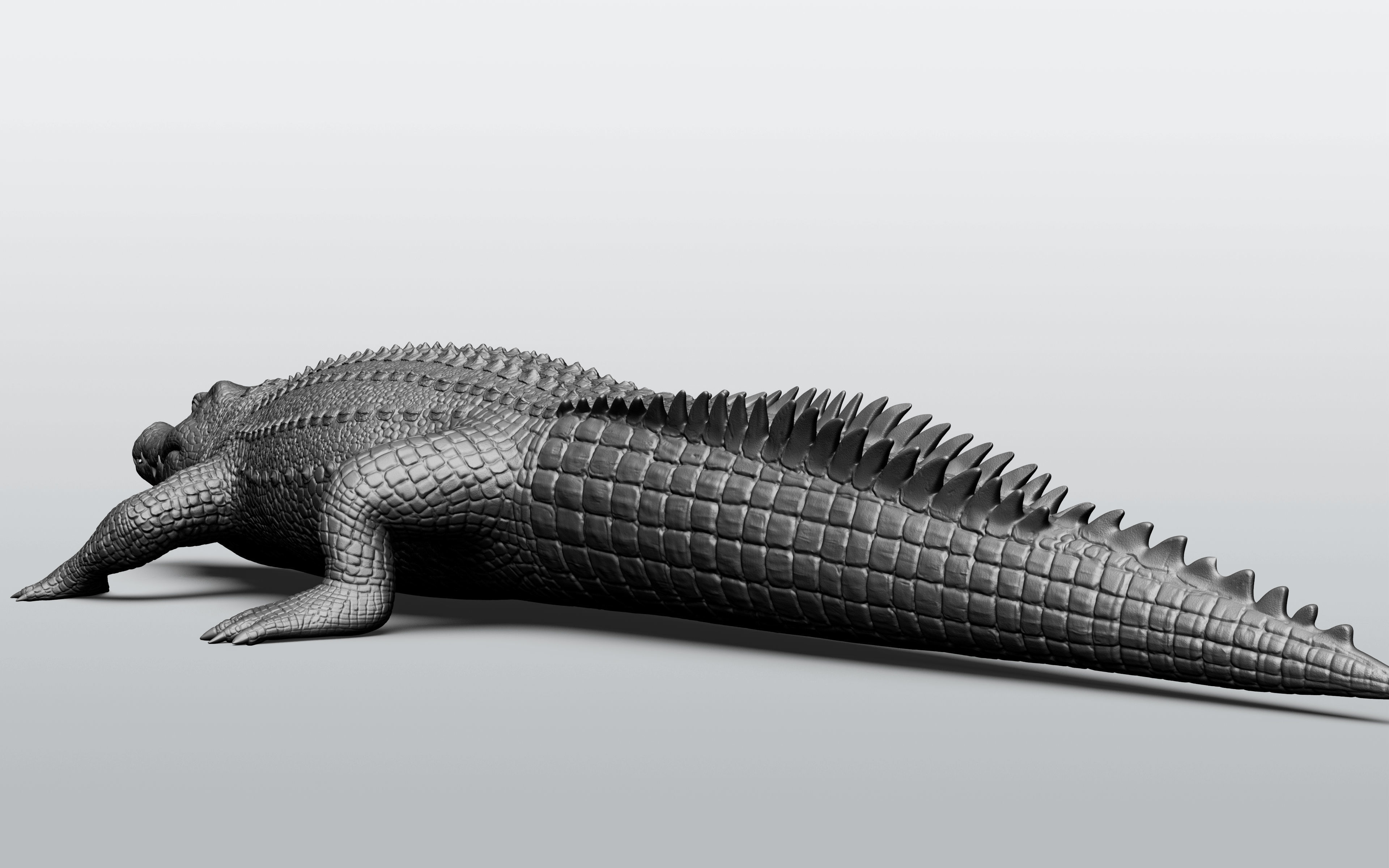 Wild animal collection - 10 animals VOL-3 3D model_72