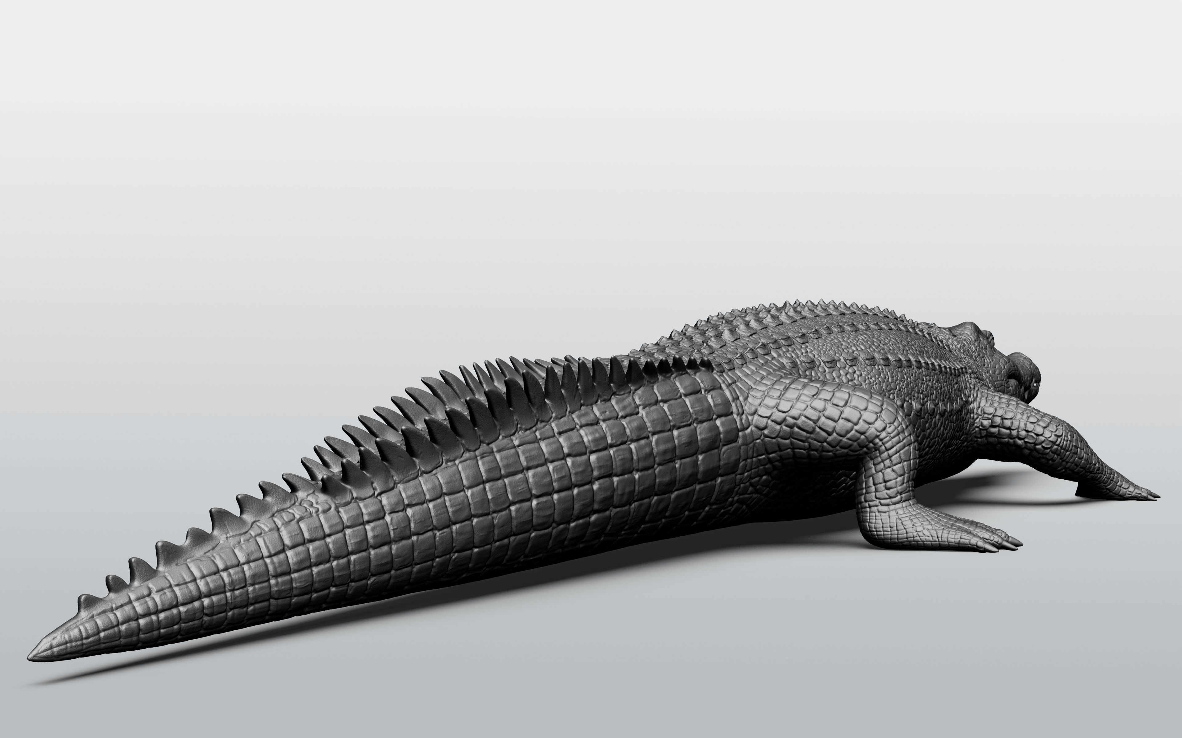 Wild animal collection - 10 animals VOL-3 3D model_70