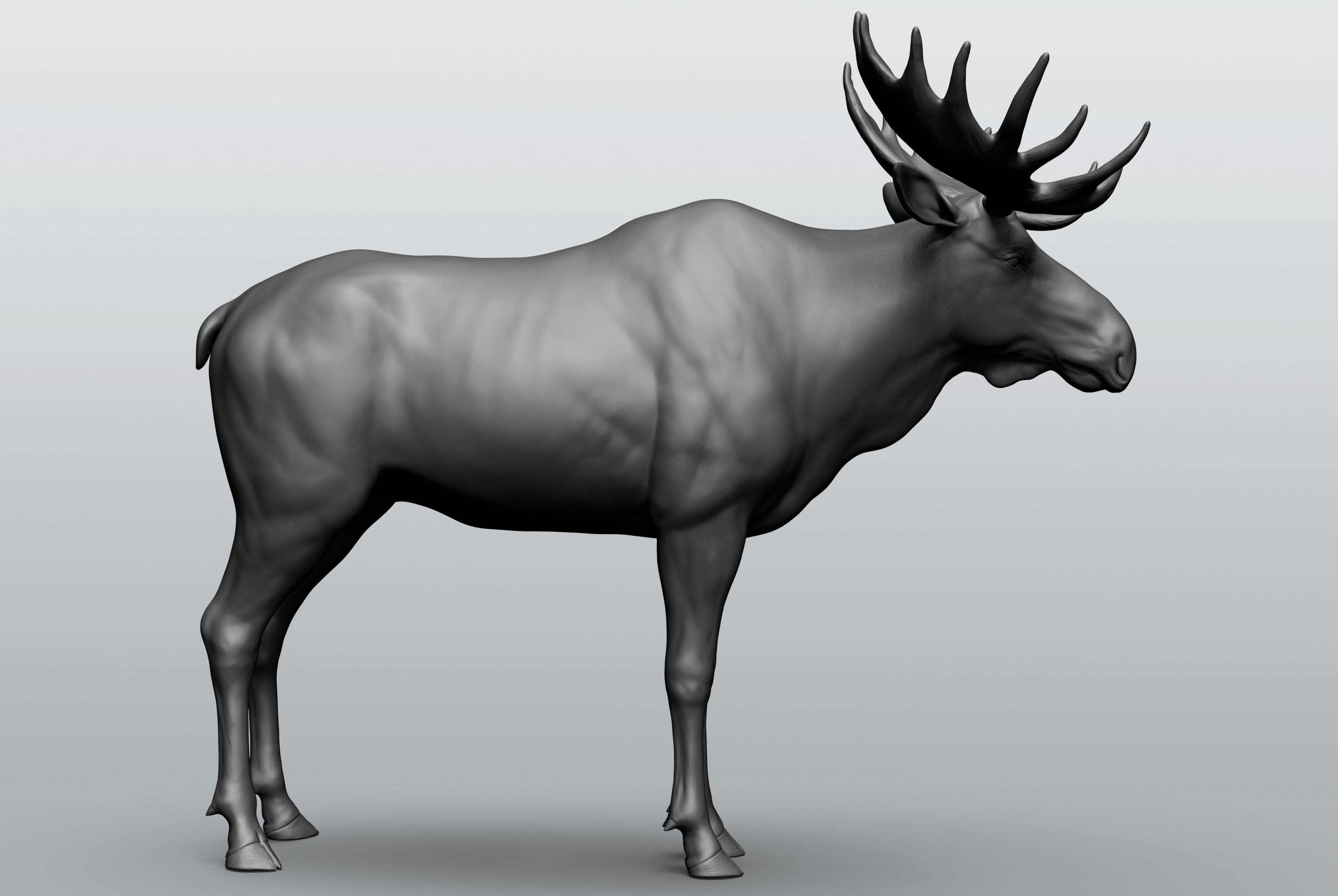 Wild animal collection - 10 animals VOL-3 3D model_16