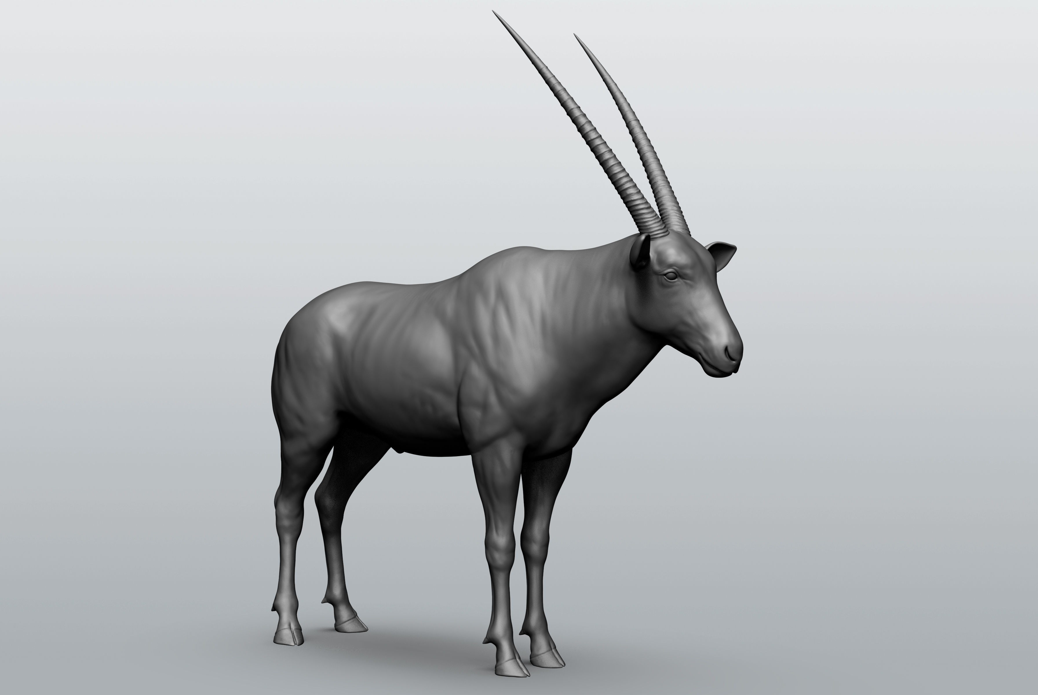 Wild animal collection - 10 animals VOL-3 3D model_49