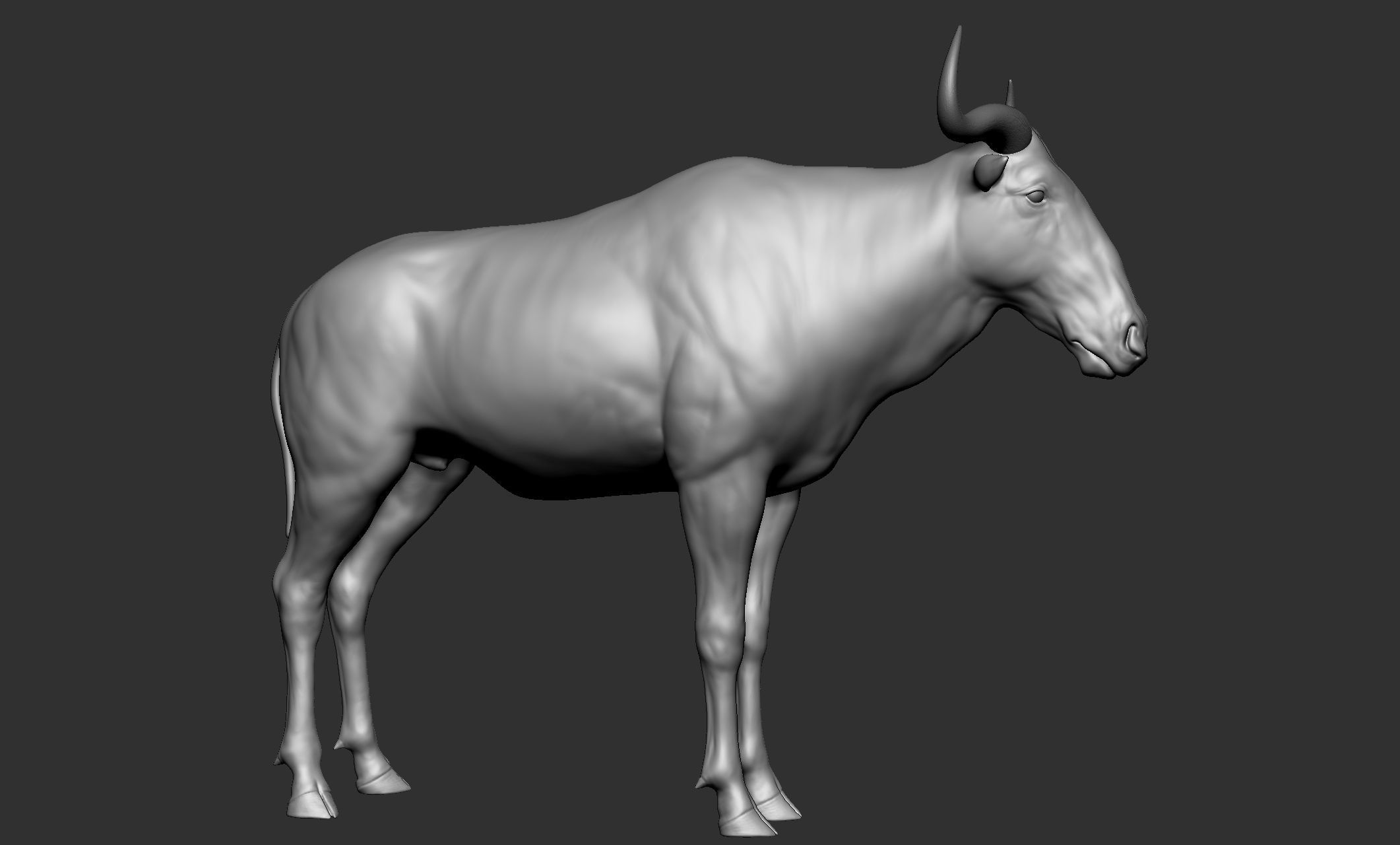 Wild animal collection - 10 animals VOL-3 3D model_38
