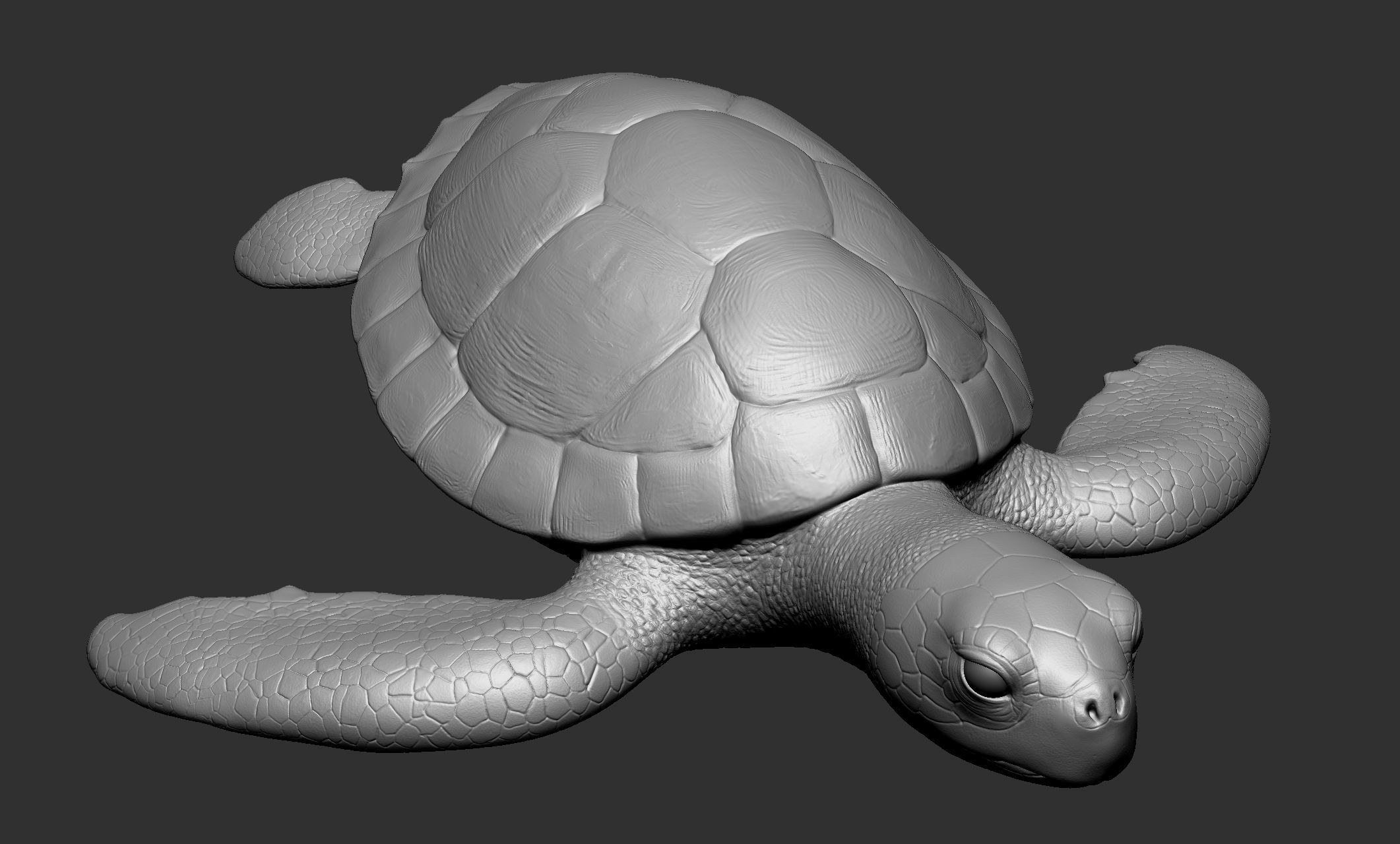 Wild animal collection - 10 animals VOL-3 3D model_59