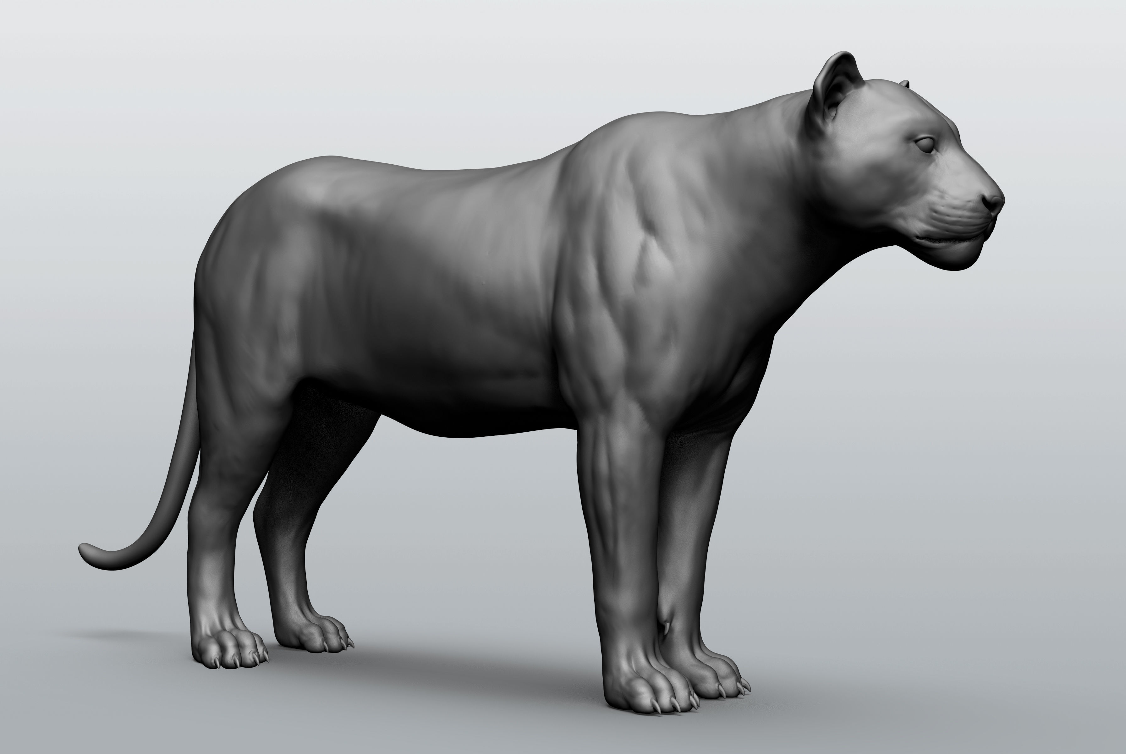Wild animal collection - 10 animals VOL-3 3D model_27