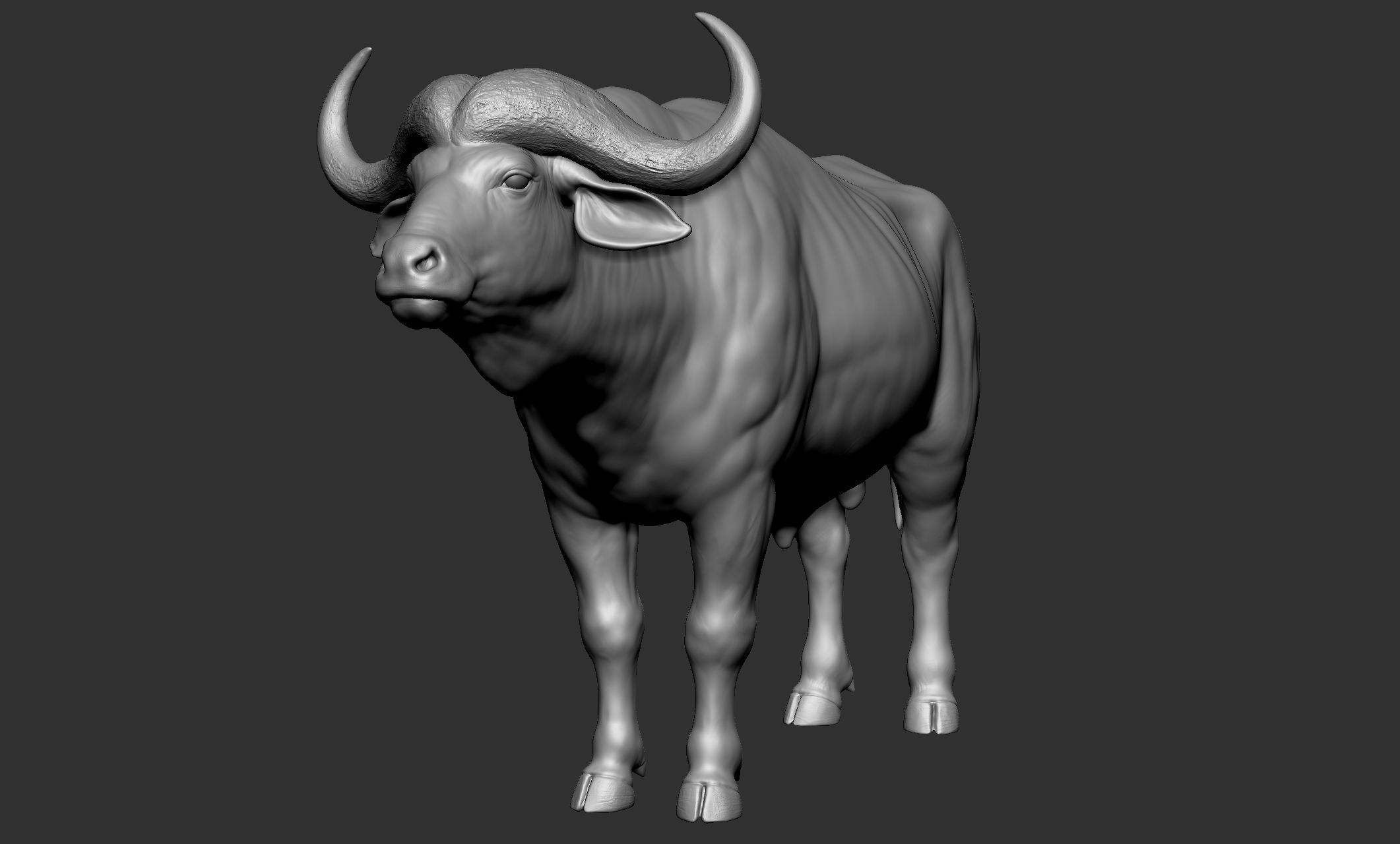 Wild animal collection - 10 animals VOL-3 3D model_8