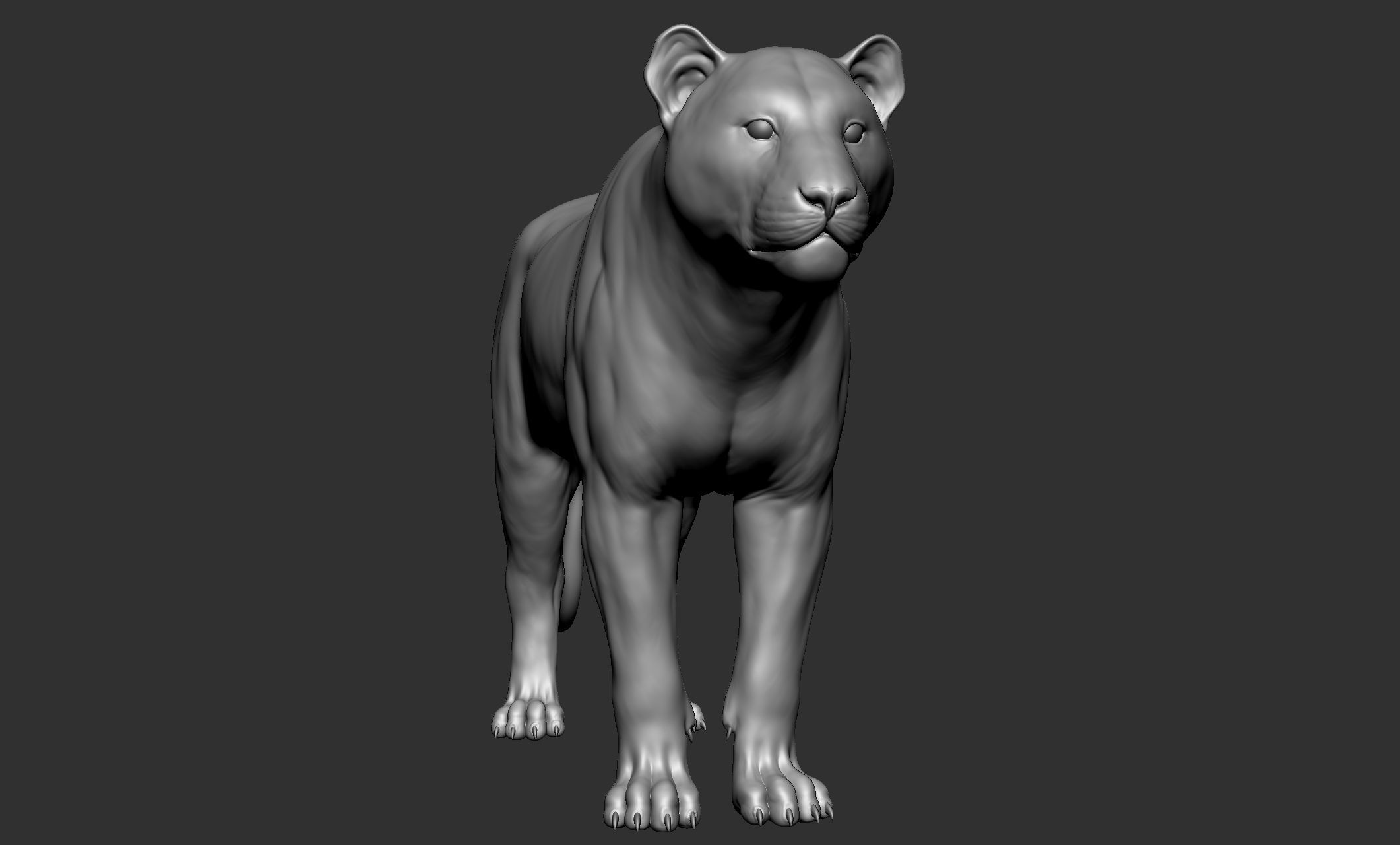 Wild animal collection - 10 animals VOL-3 3D model_28