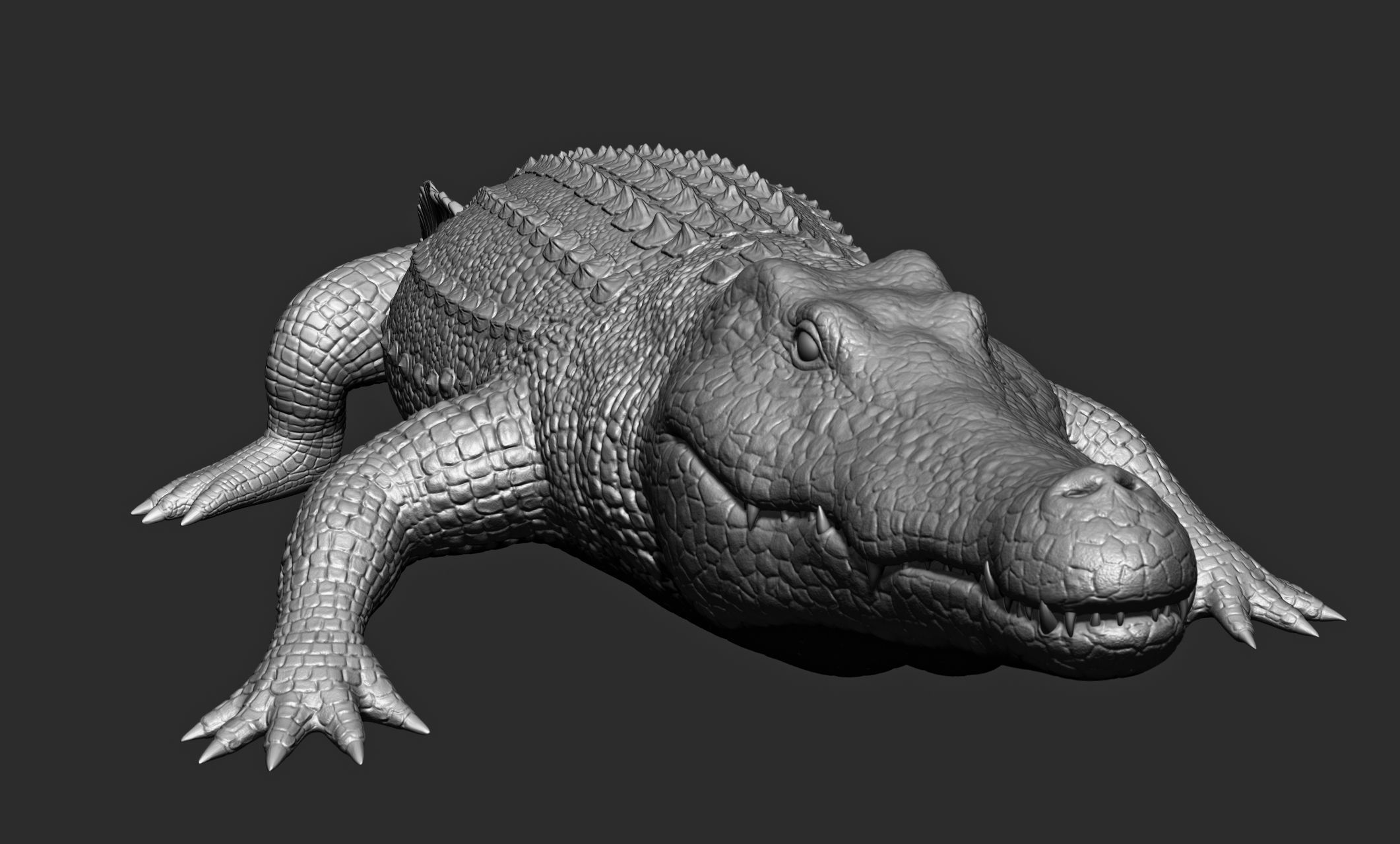 Wild animal collection - 10 animals VOL-3 3D model_75