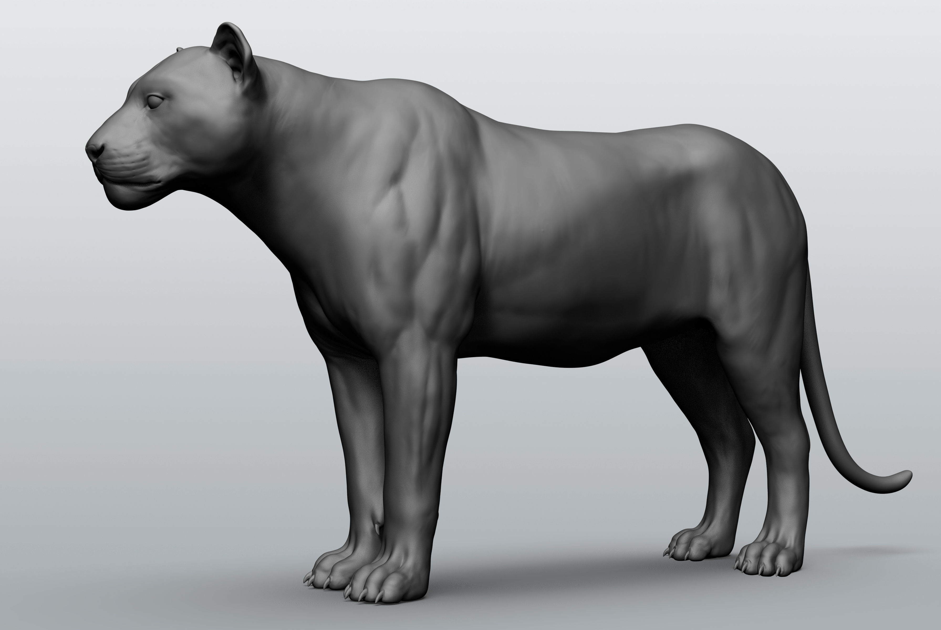 Wild animal collection - 10 animals VOL-3 3D model_24