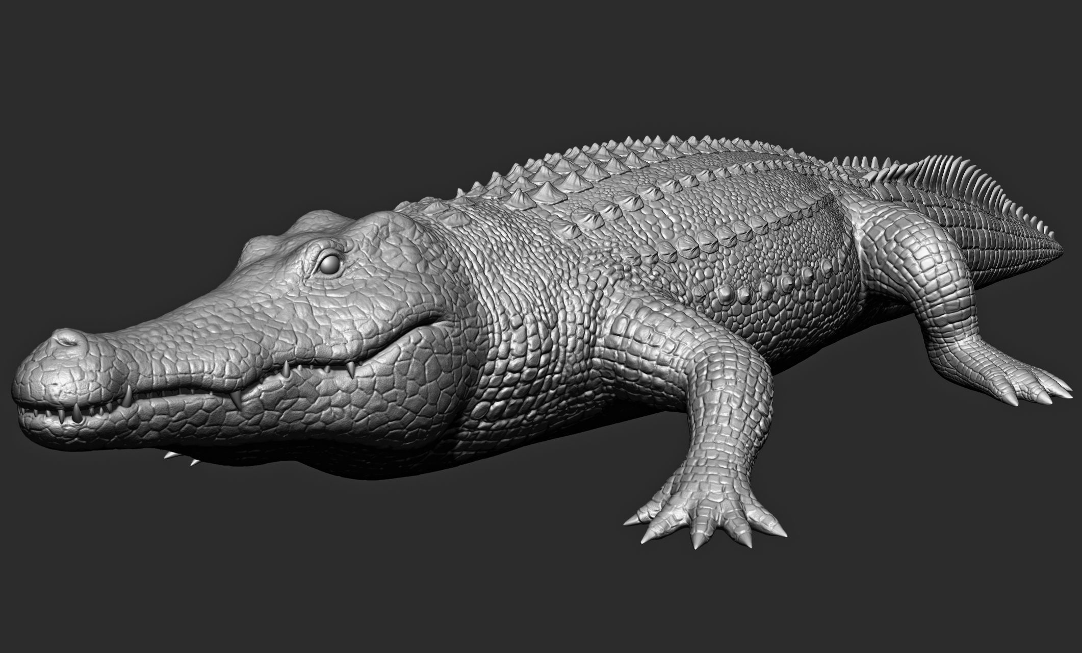 Wild animal collection - 10 animals VOL-3 3D model_77