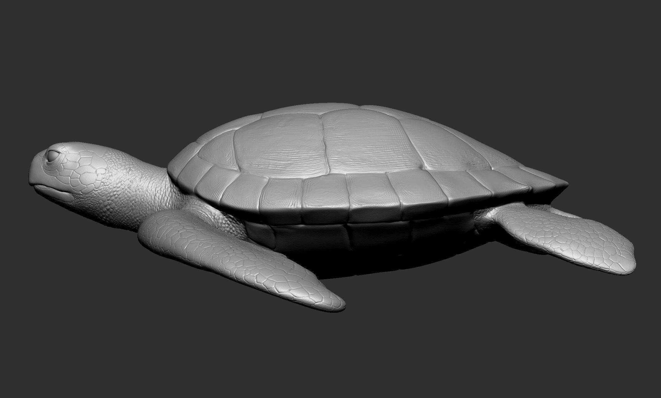 Wild animal collection - 10 animals VOL-3 3D model_63