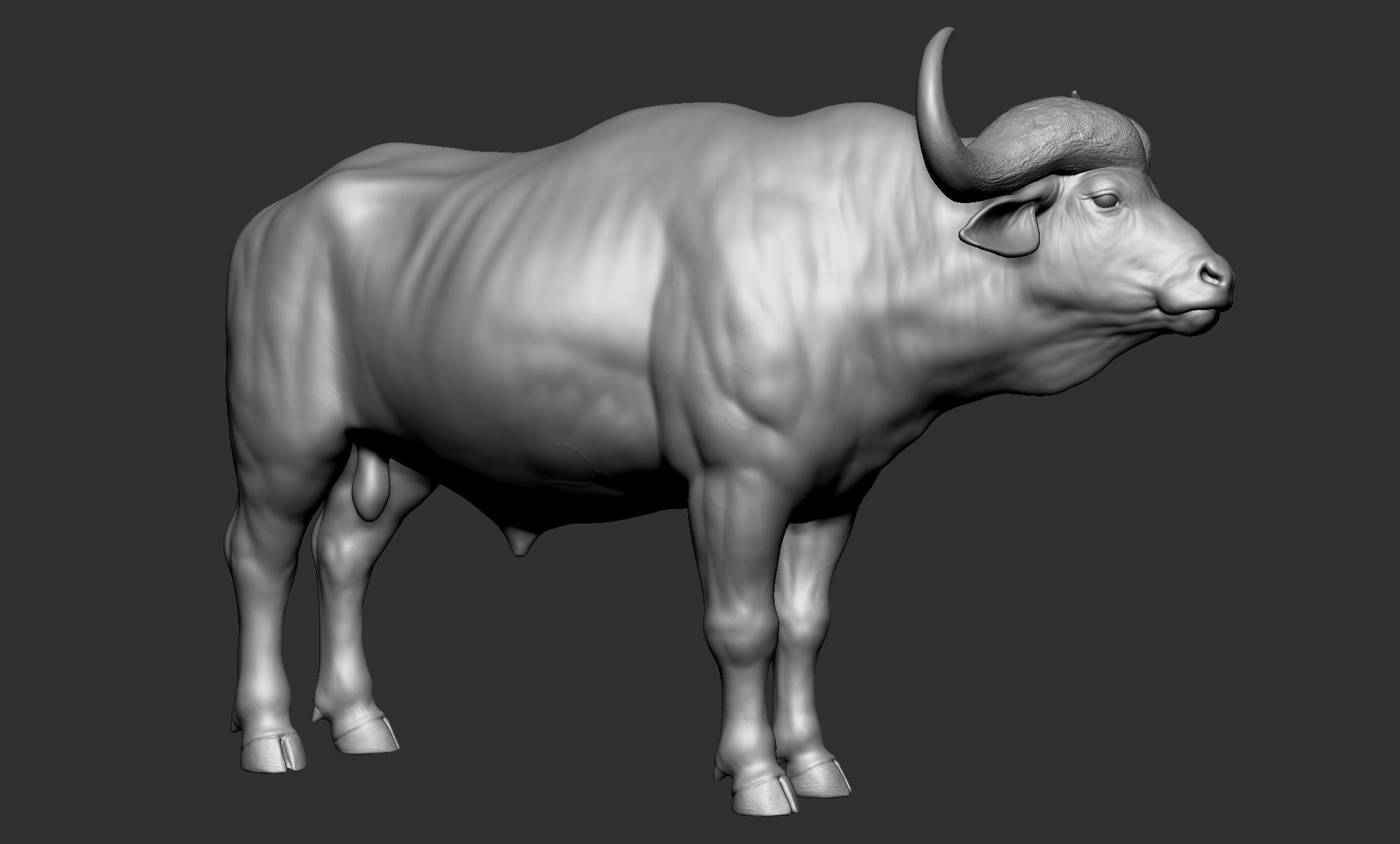 Wild animal collection - 10 animals VOL-3 3D model_5