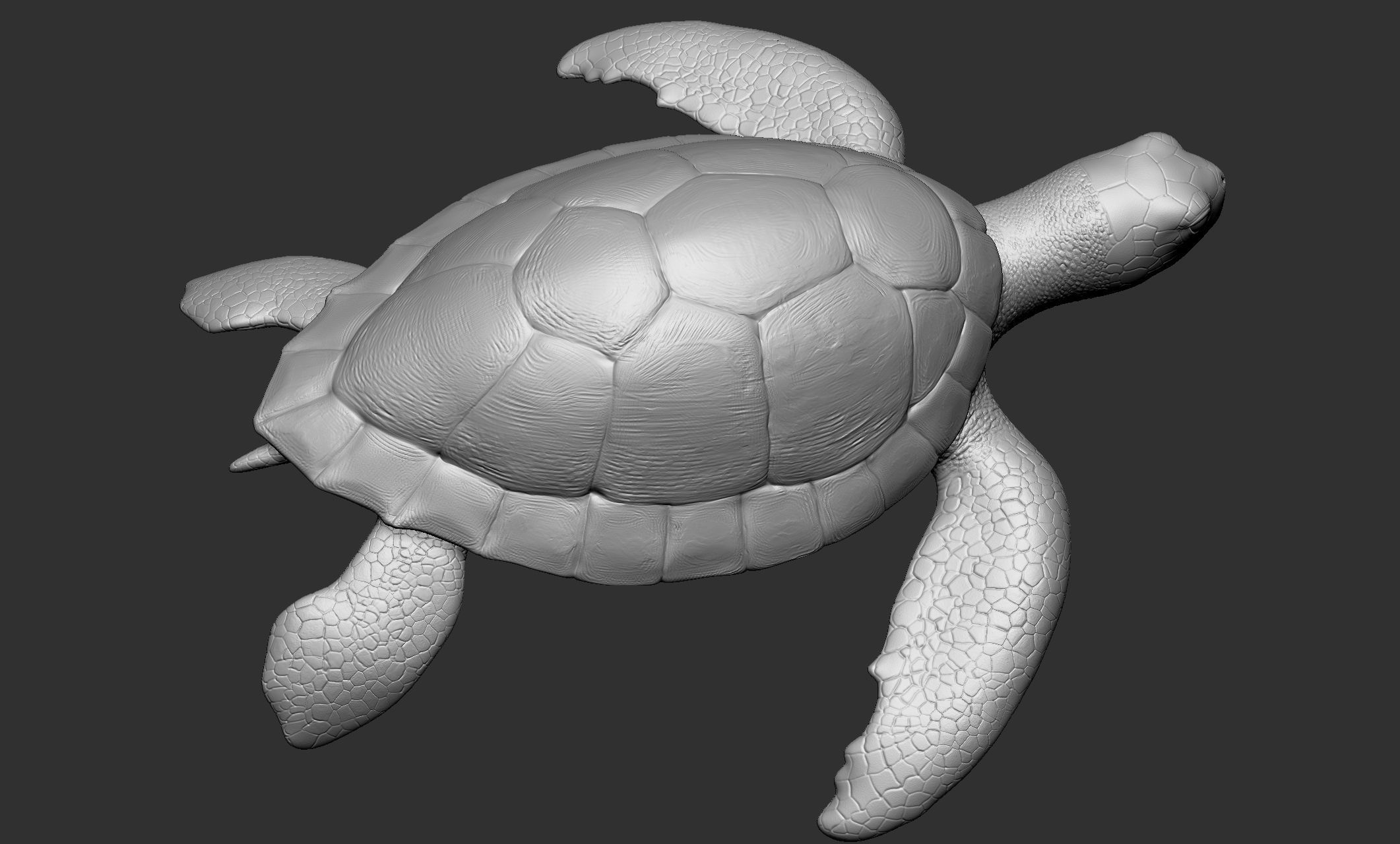 Wild animal collection - 10 animals VOL-3 3D model_60