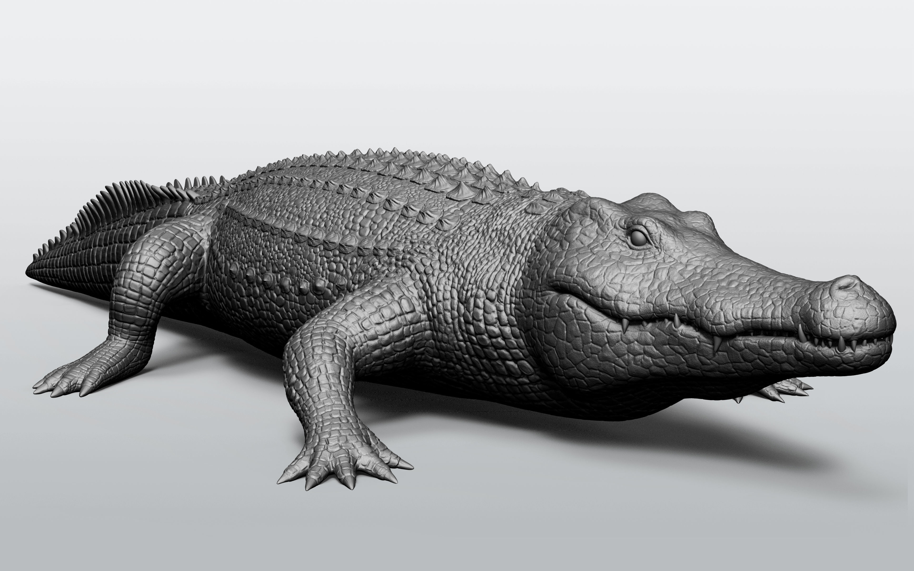 Wild animal collection - 10 animals VOL-3 3D model_74