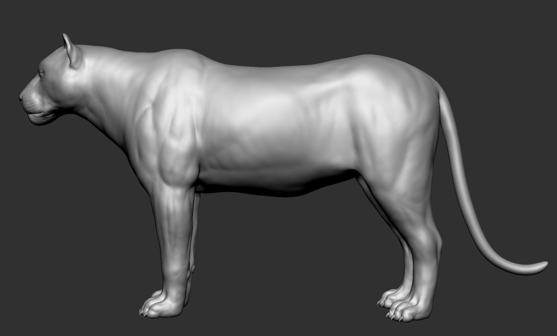 Wild animal collection - 10 animals VOL-3 3D model_31