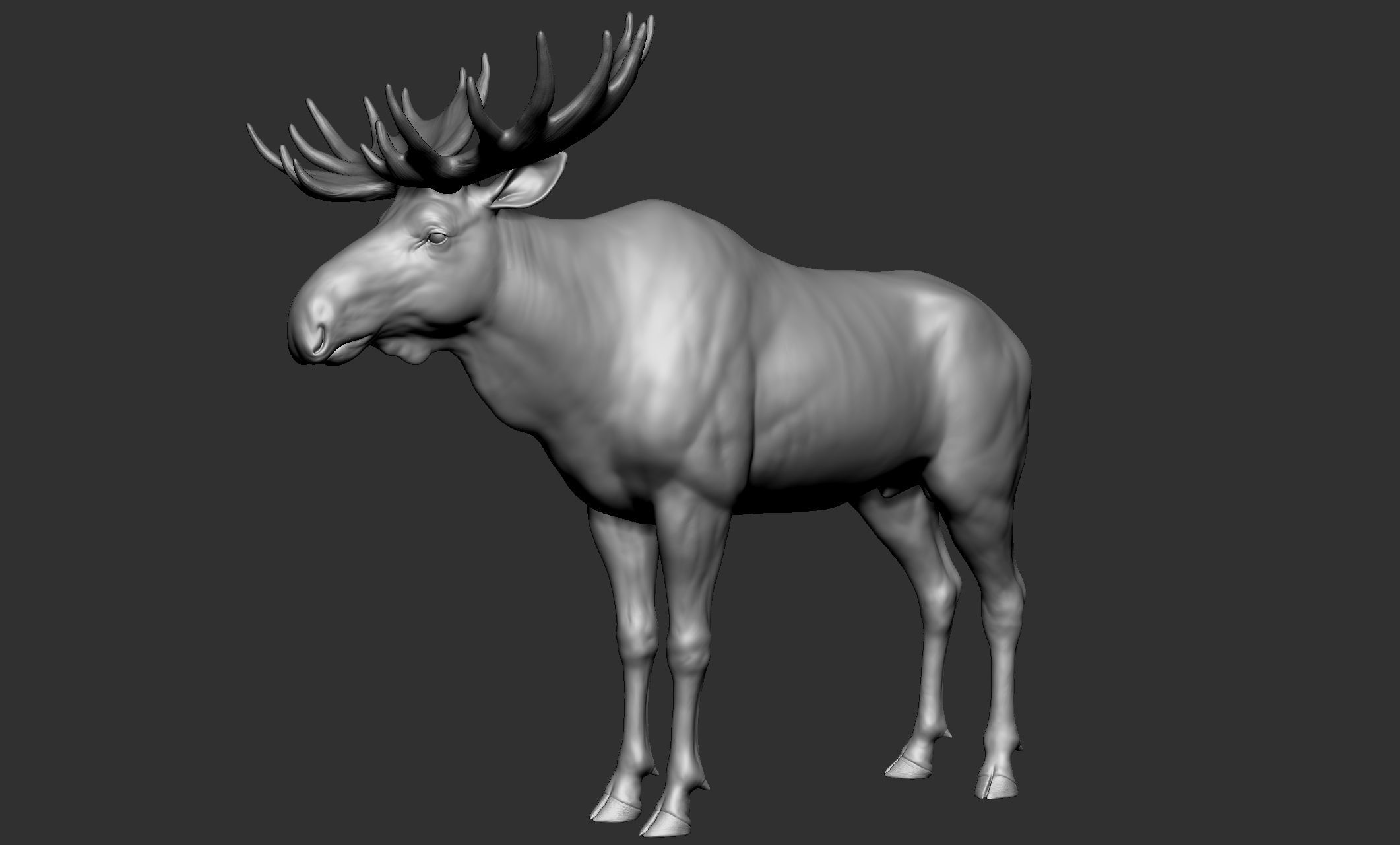 Wild animal collection - 10 animals VOL-3 3D model_19