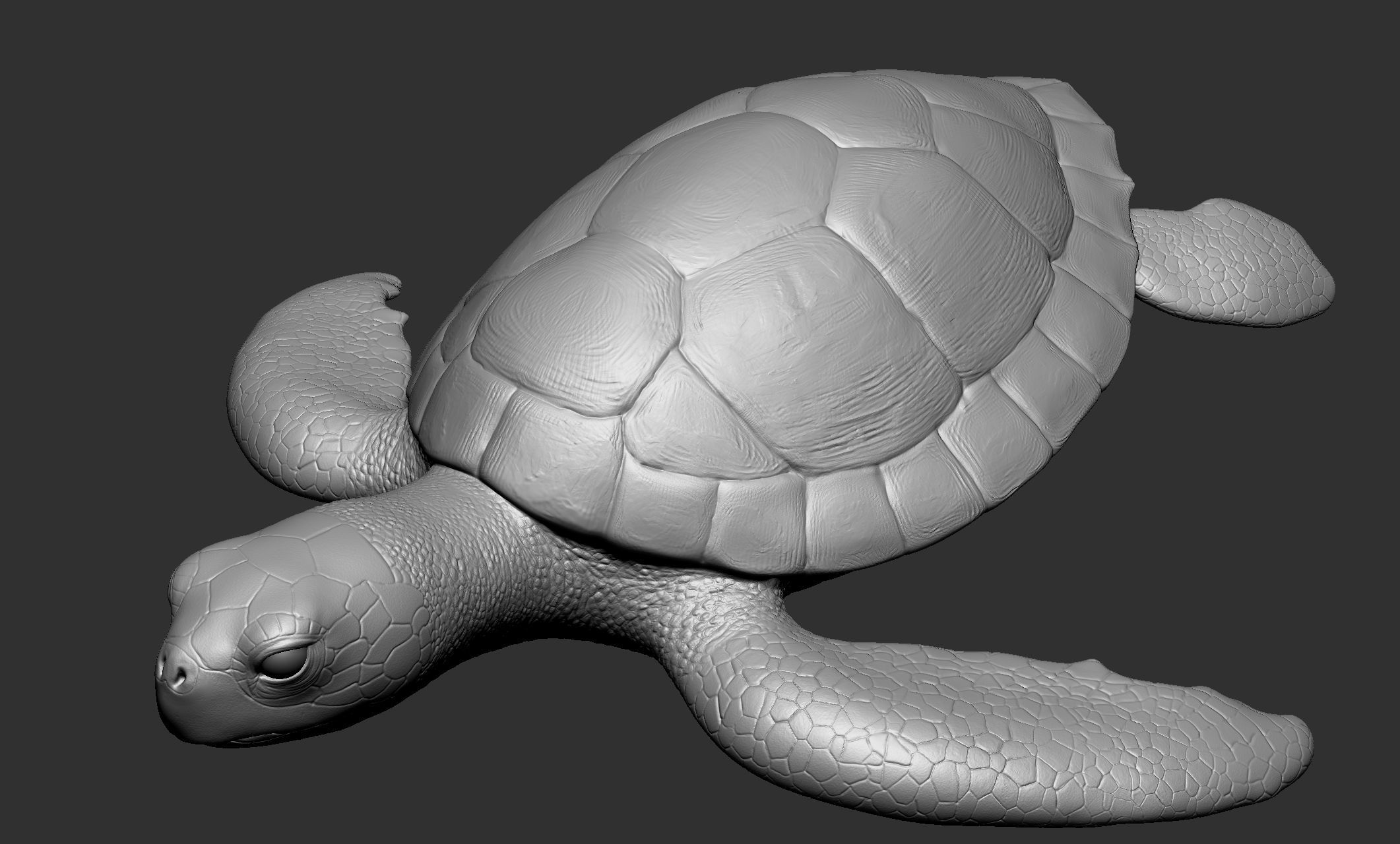 Wild animal collection - 10 animals VOL-3 3D model_62