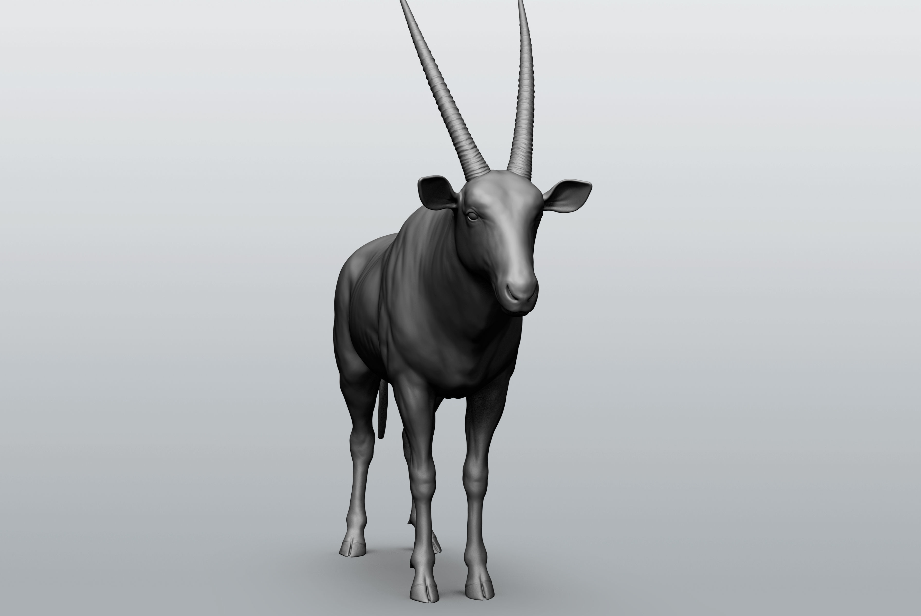 Wild animal collection - 10 animals VOL-3 3D model_45