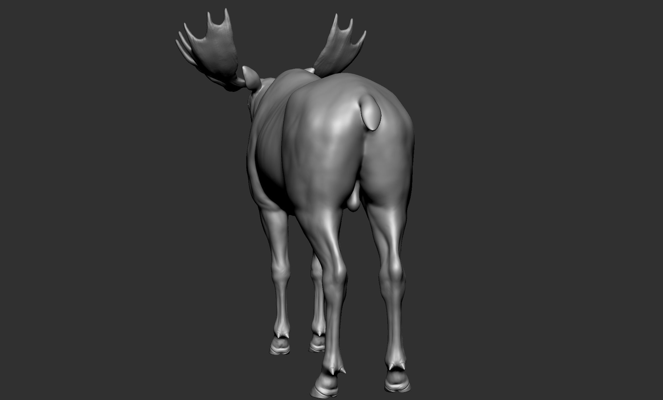 Wild animal collection - 10 animals VOL-3 3D model_17