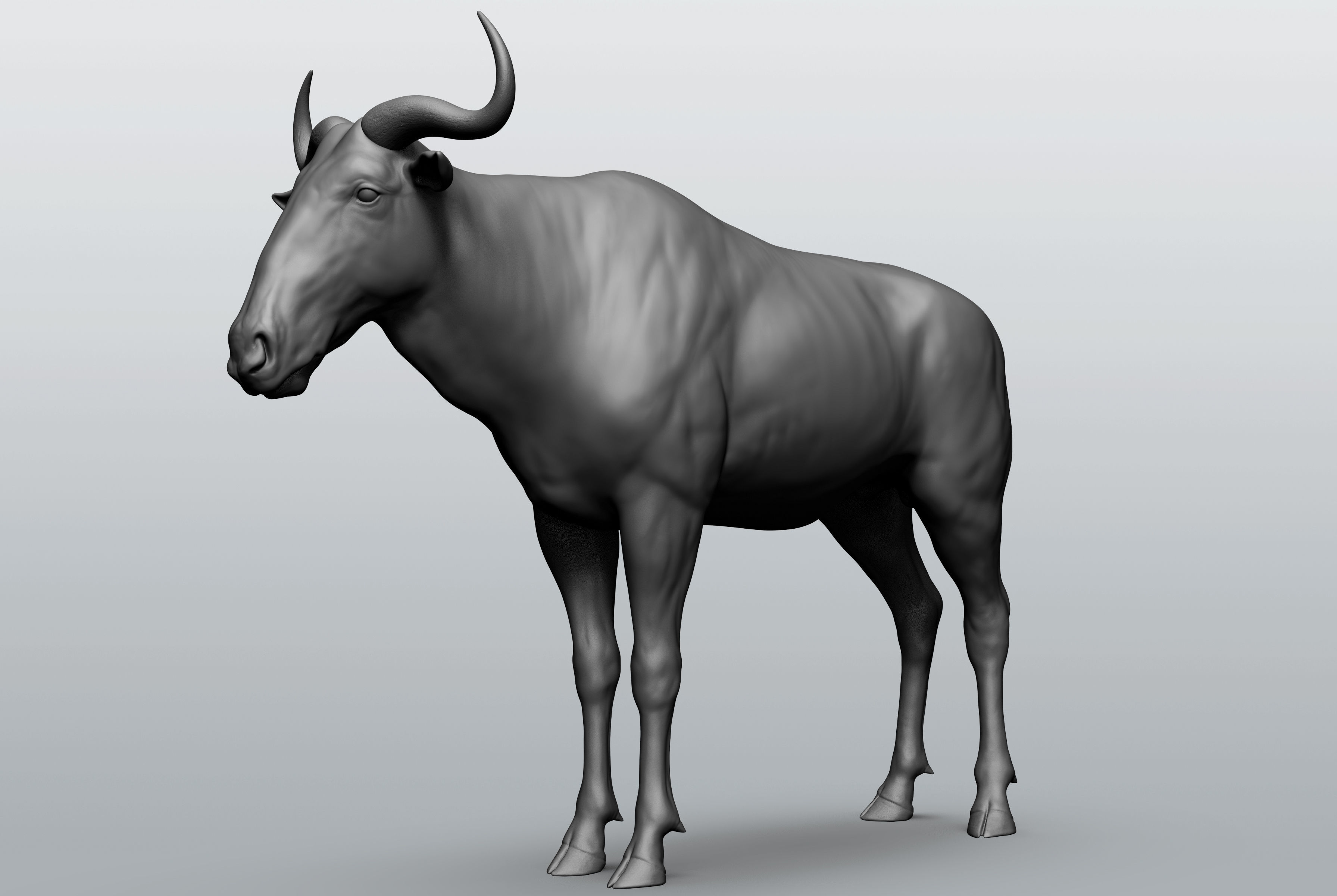 Wild animal collection - 10 animals VOL-3 3D model_36