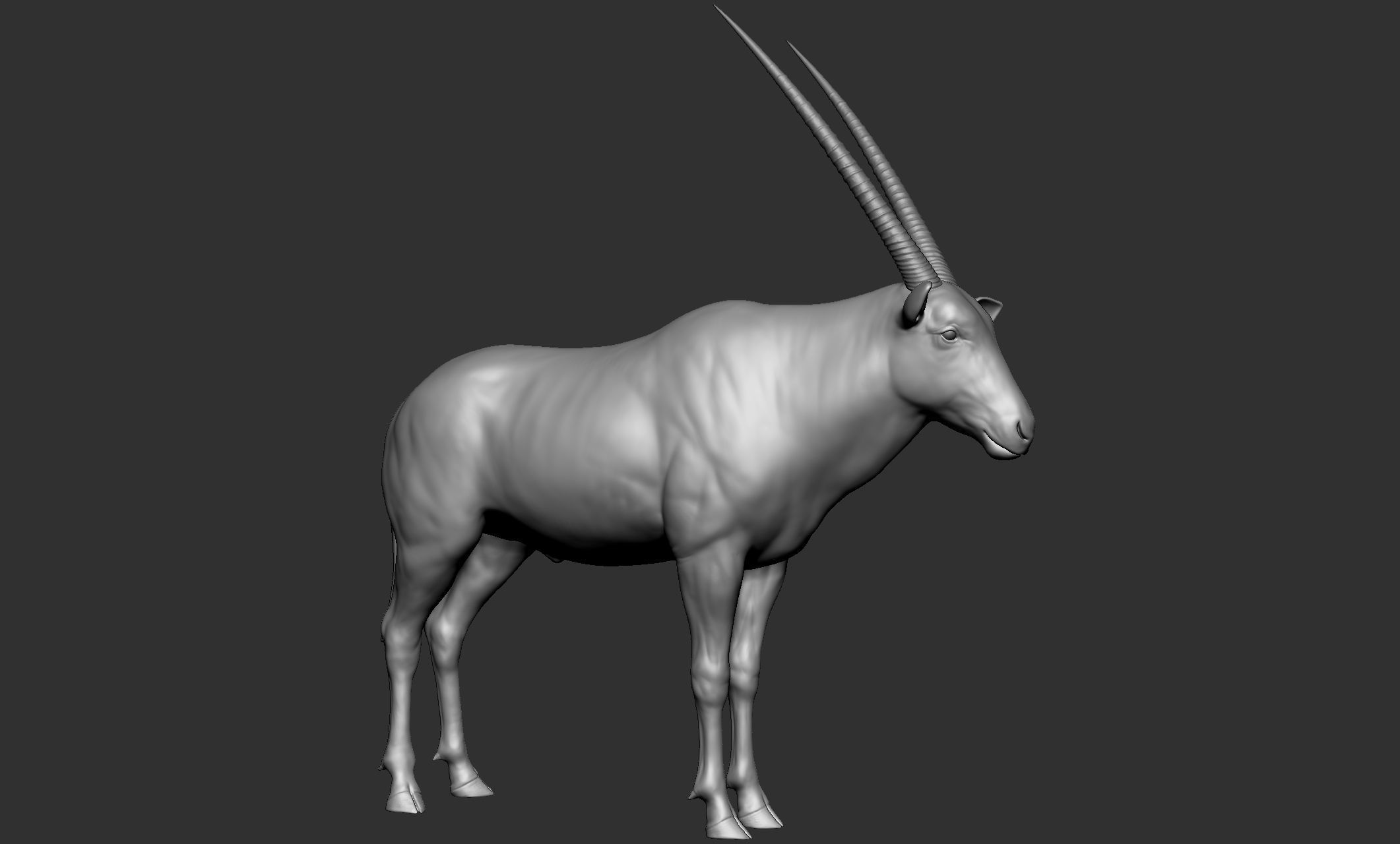 Wild animal collection - 10 animals VOL-3 3D model_54