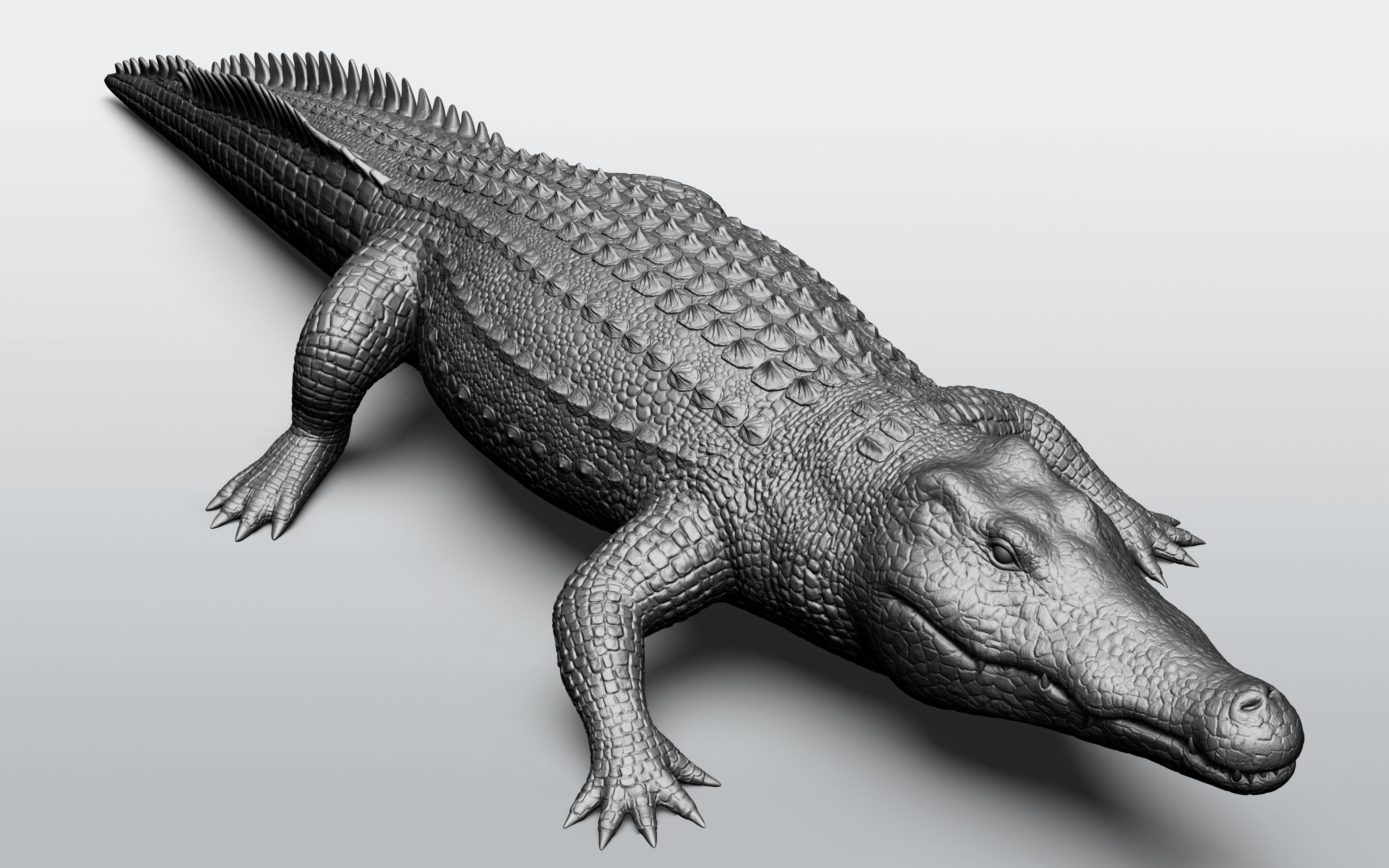 Wild animal collection - 10 animals VOL-3 3D model_67