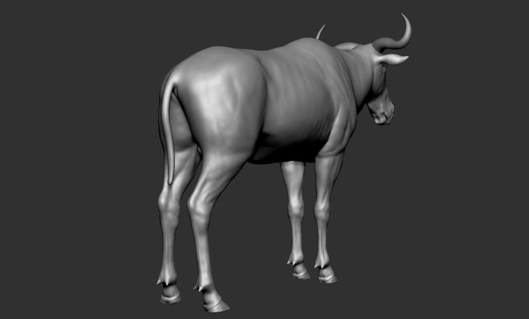 Wild animal collection - 10 animals VOL-3 3D model_44