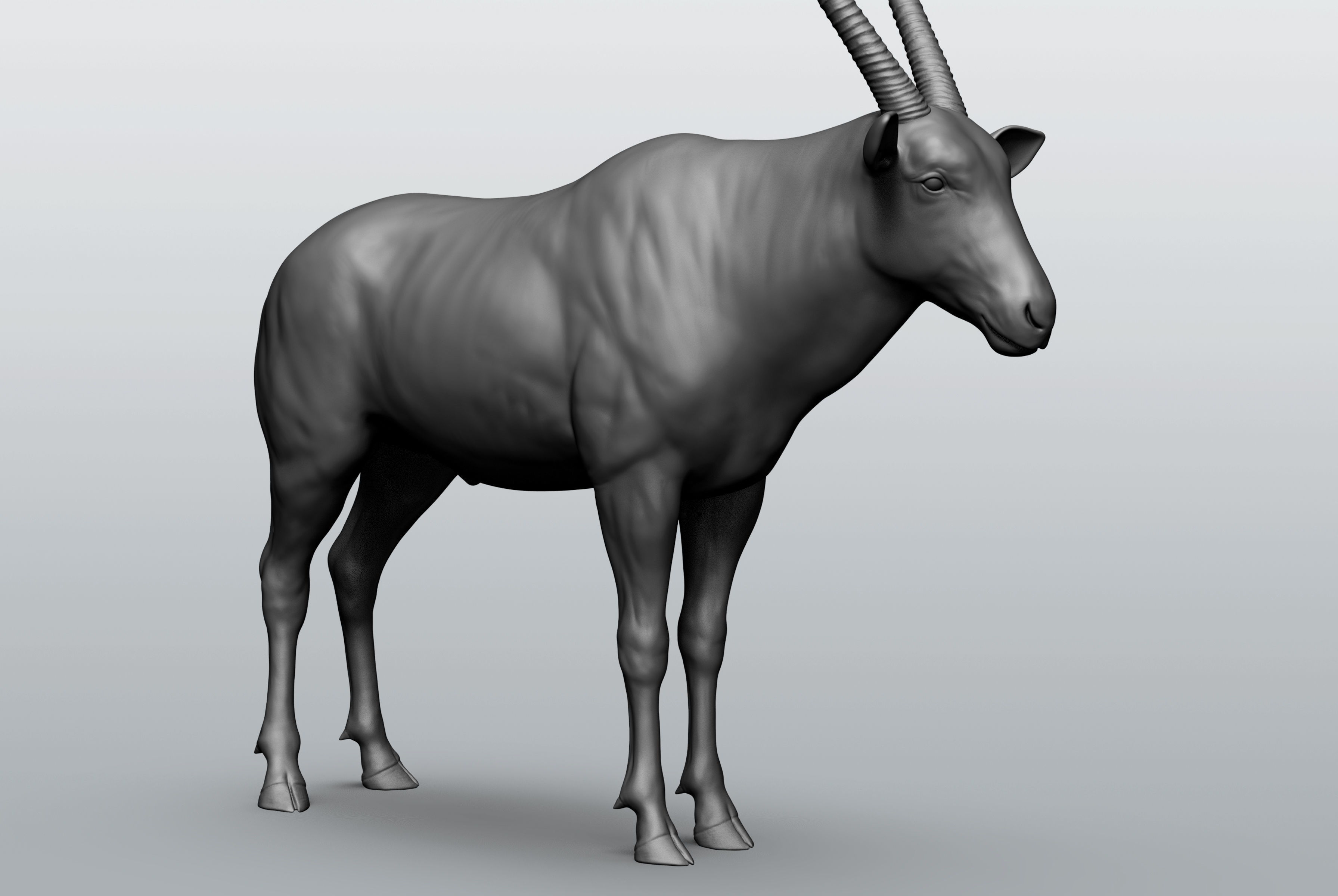 Wild animal collection - 10 animals VOL-3 3D model_47