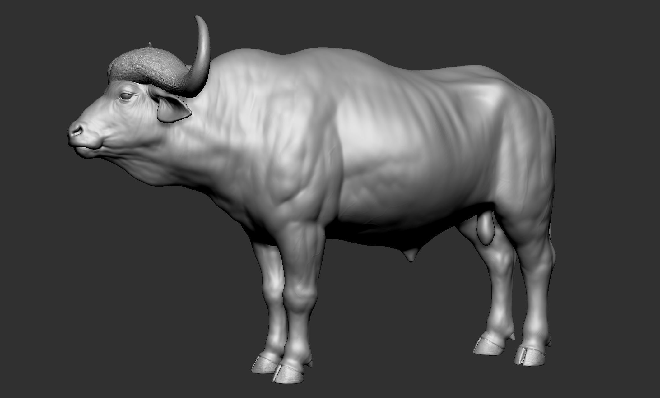 Wild animal collection - 10 animals VOL-3 3D model_7
