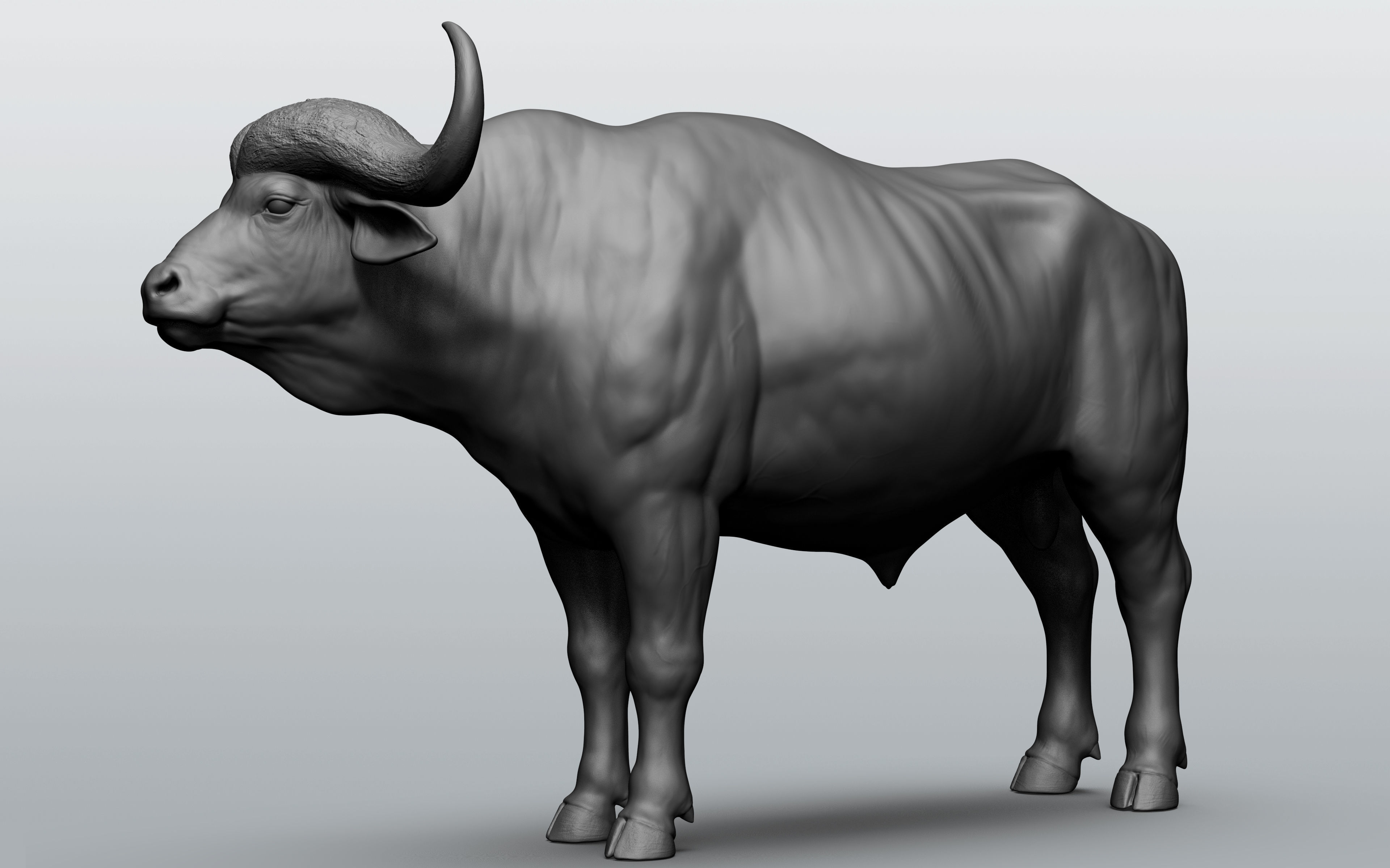Wild animal collection - 10 animals VOL-3 3D model_3