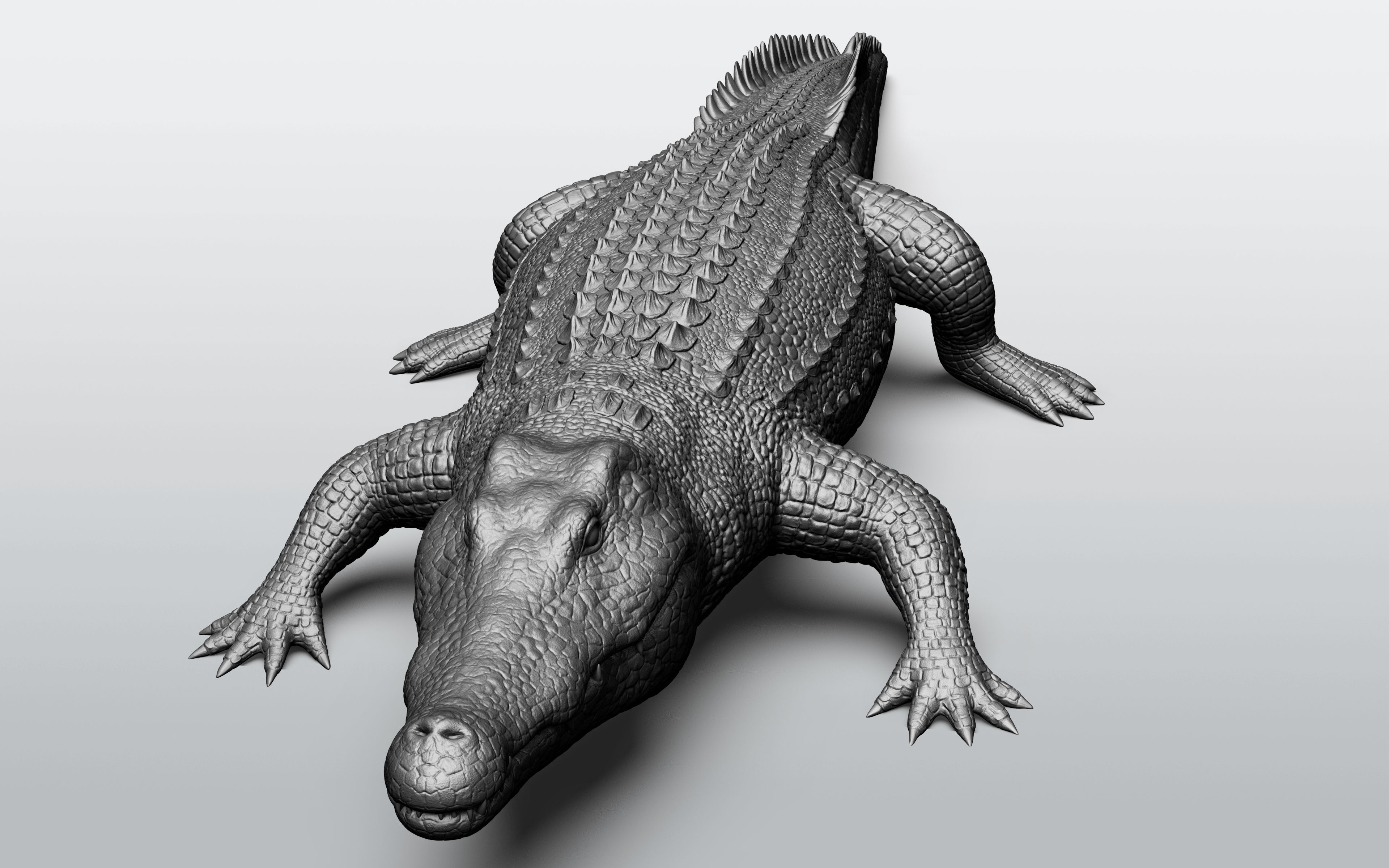 Wild animal collection - 10 animals VOL-3 3D model_68