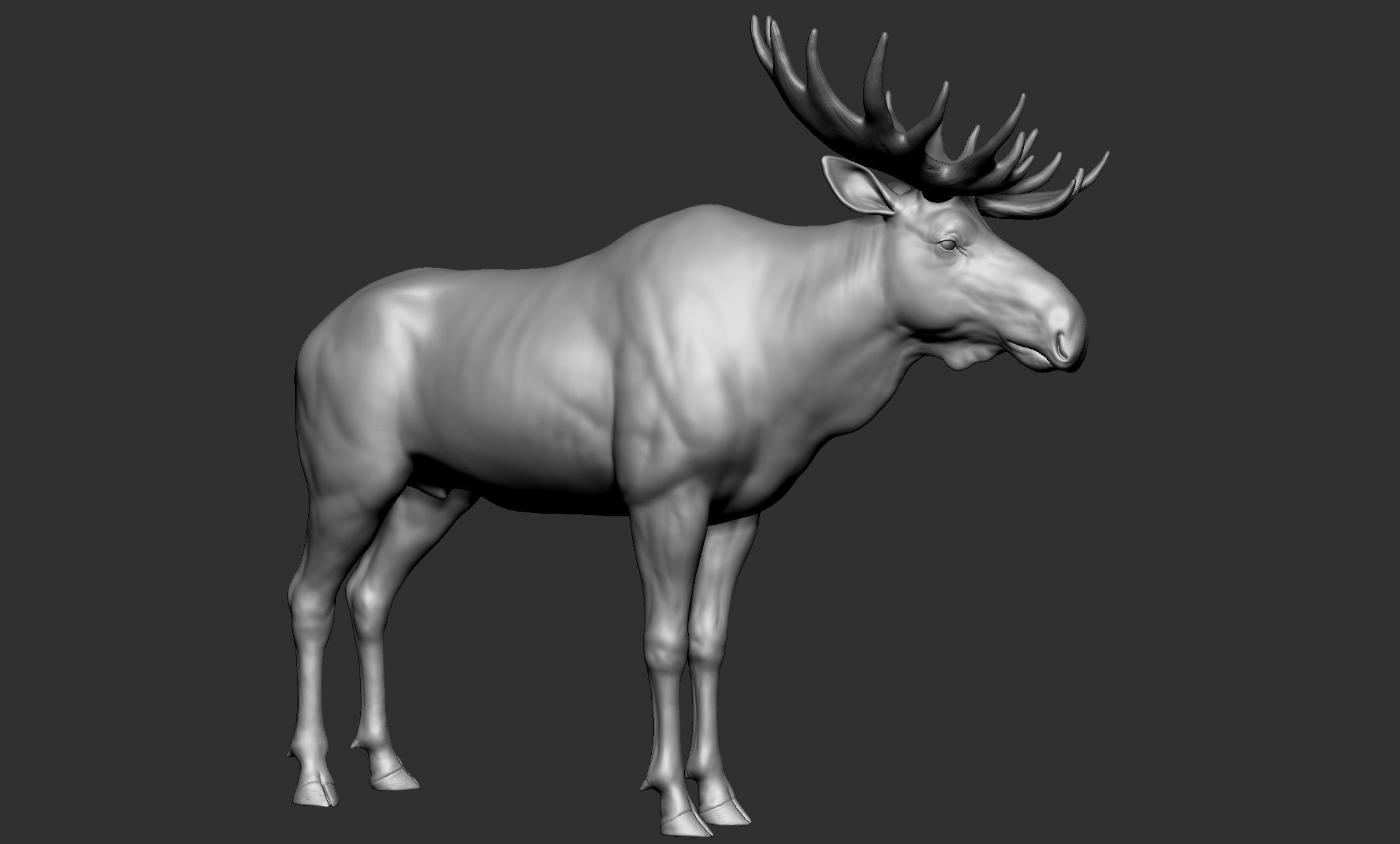 Wild animal collection - 10 animals VOL-3 3D model_21