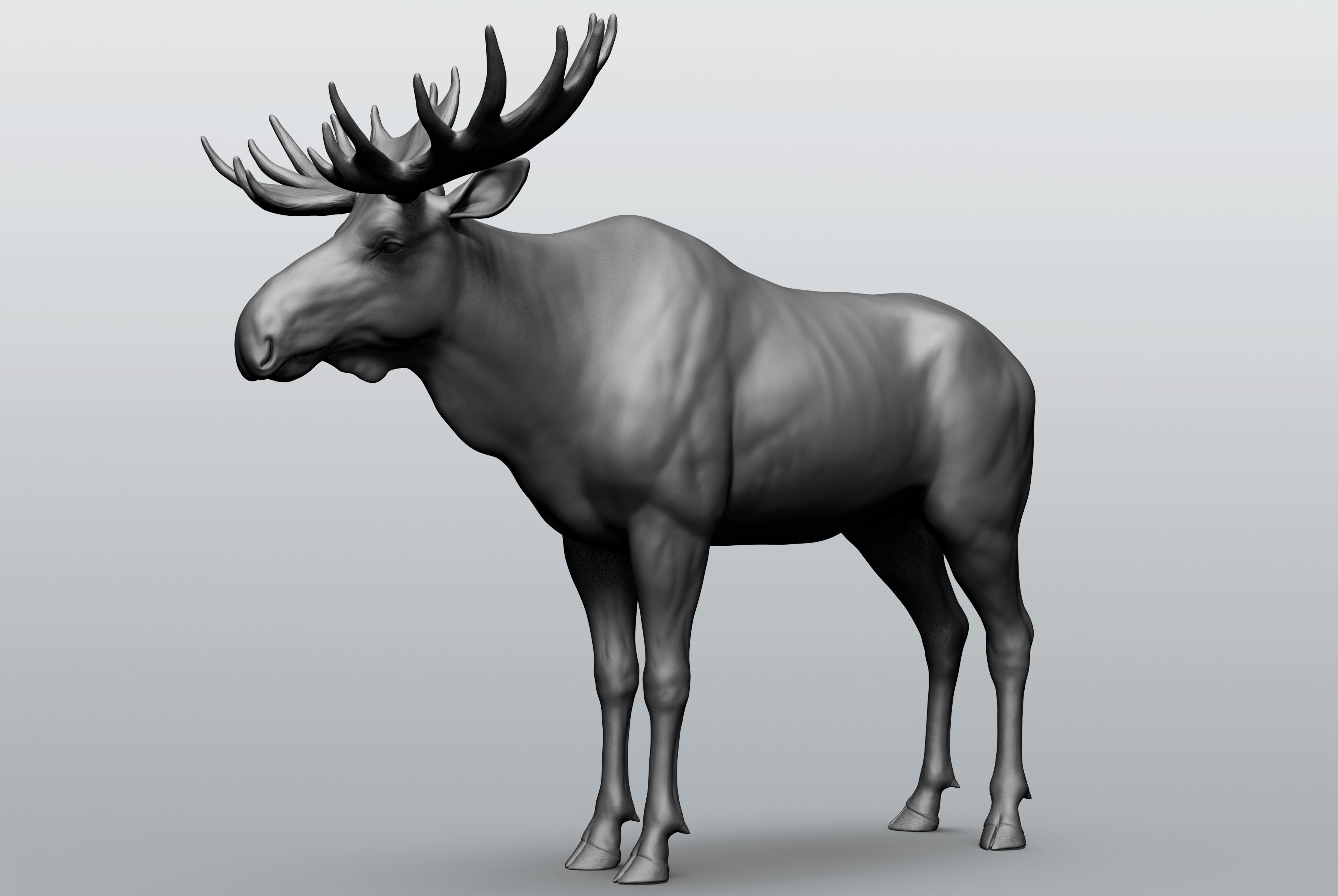 Wild animal collection - 10 animals VOL-3 3D model_13