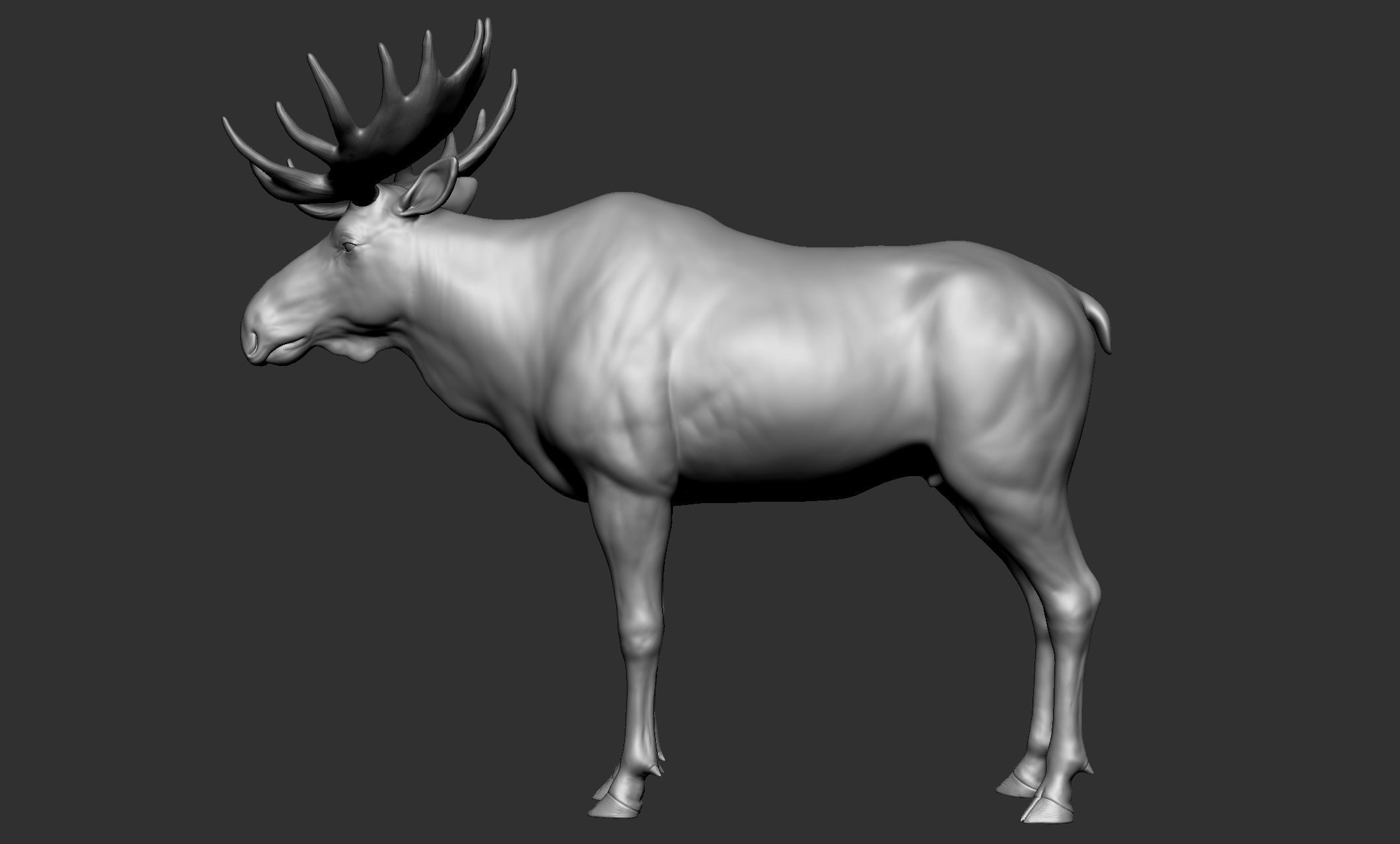 Wild animal collection - 10 animals VOL-3 3D model_22