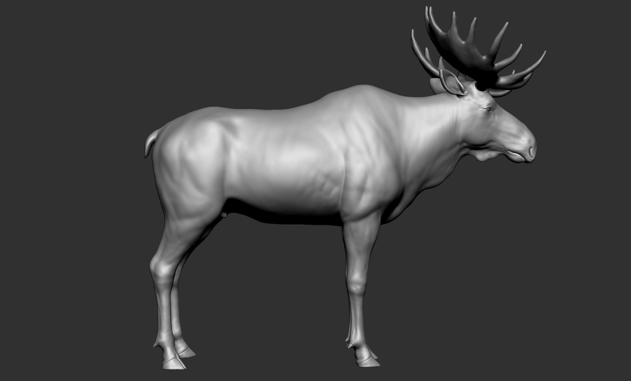 Wild animal collection - 10 animals VOL-3 3D model_20