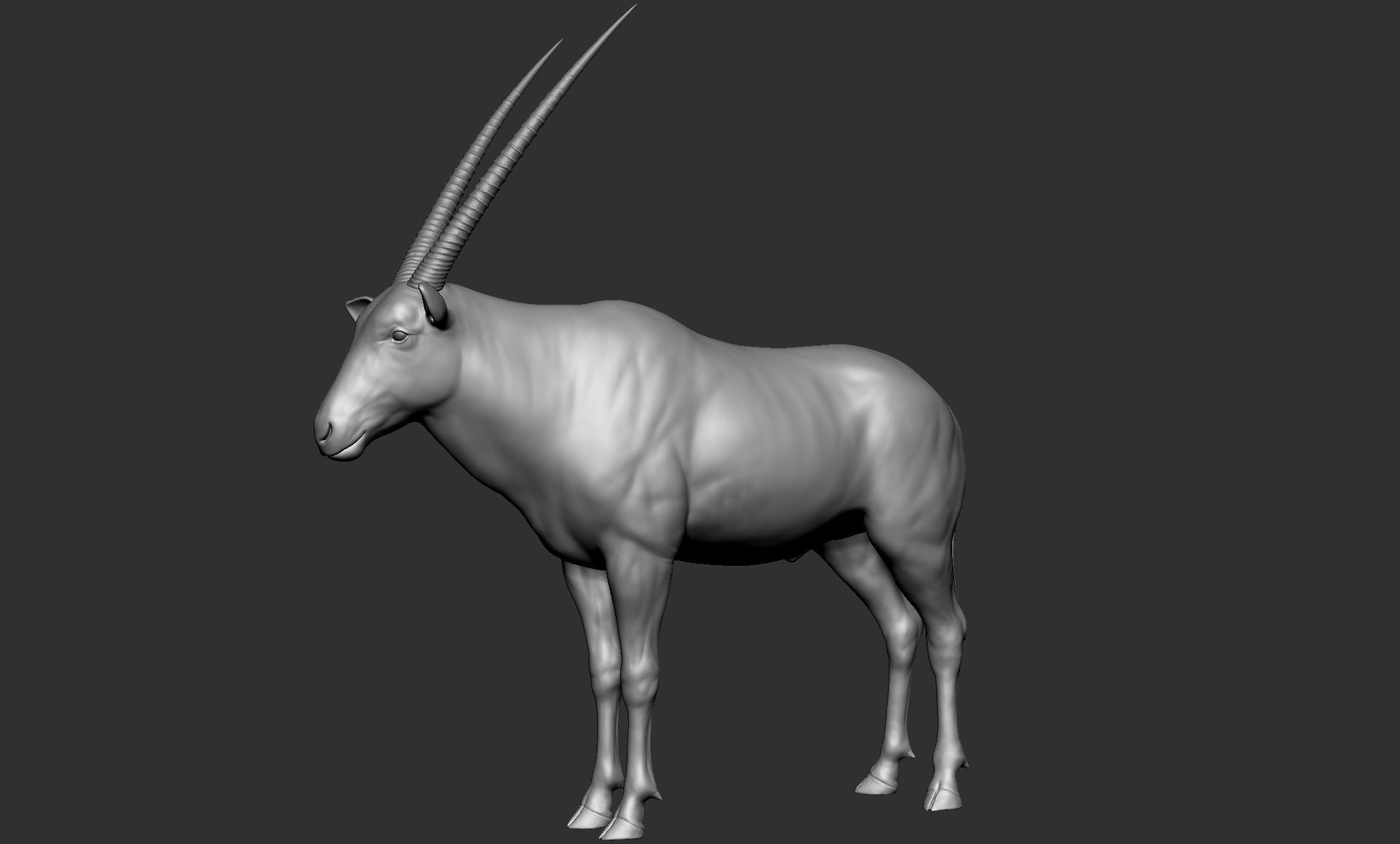 Wild animal collection - 10 animals VOL-3 3D model_53