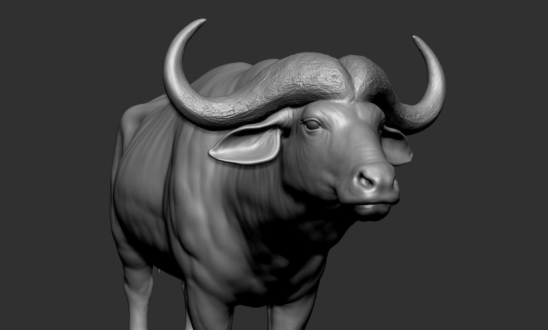 Wild animal collection - 10 animals VOL-3 3D model_9