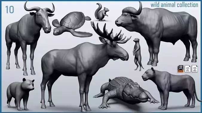 Wild animal collection - 10 animals VOL-3 3D model