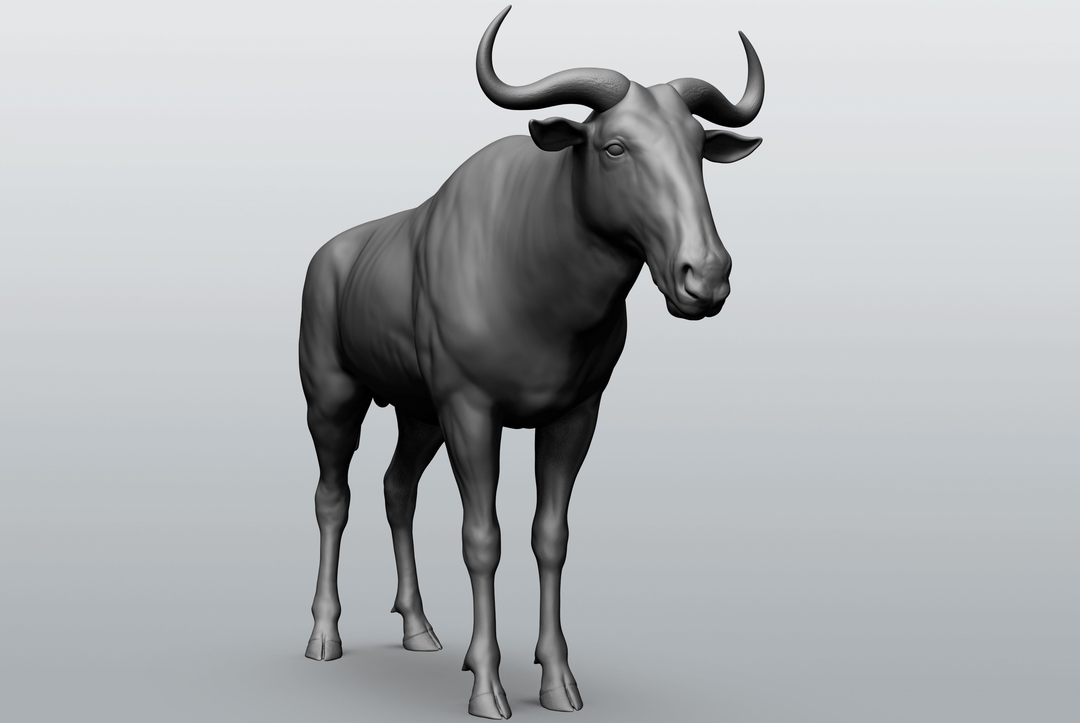 Wild animal collection - 10 animals VOL-3 3D model_35