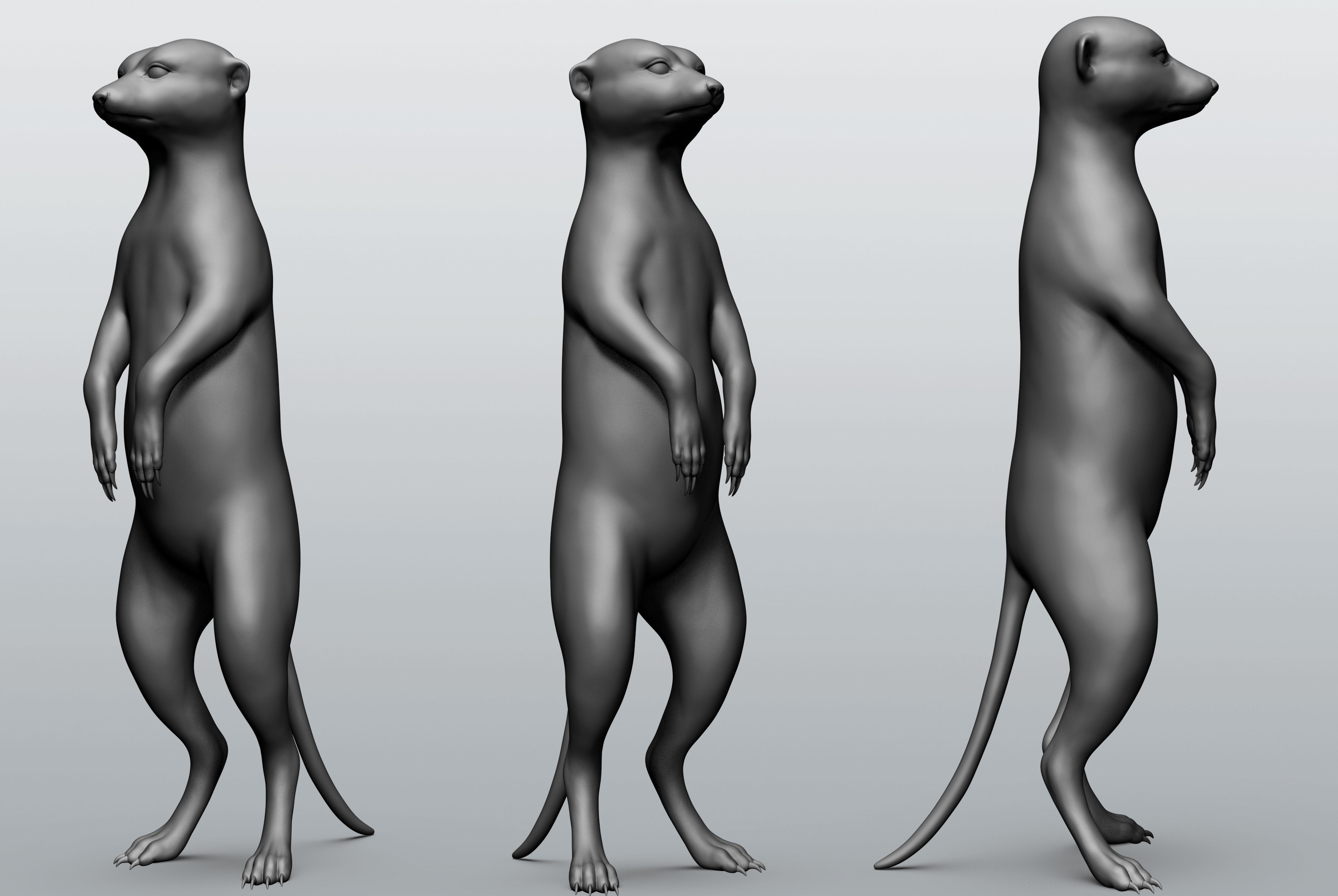 Wild animal collection - 10 animals VOL-3 3D model_88