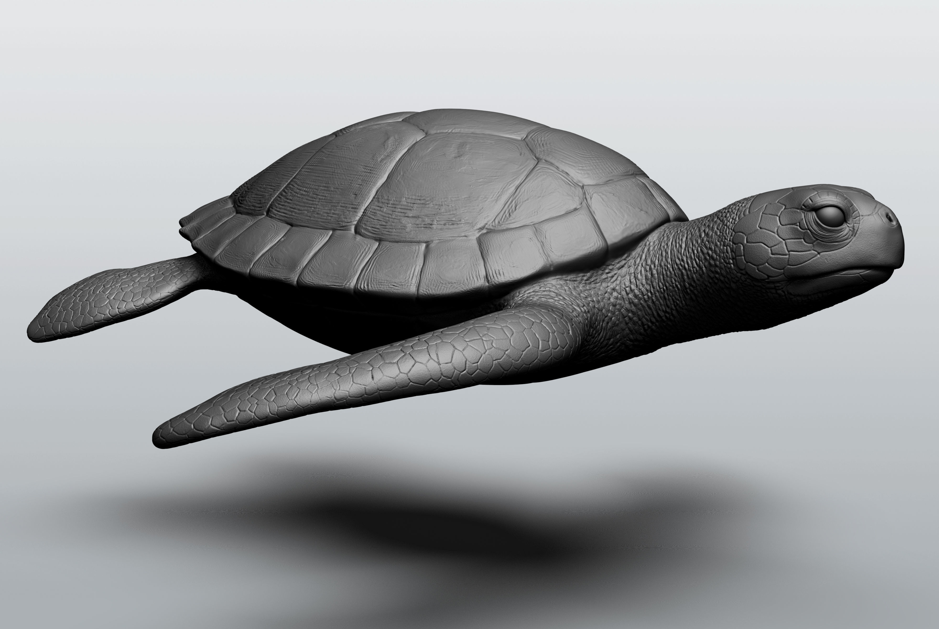 Wild animal collection - 10 animals VOL-3 3D model_57