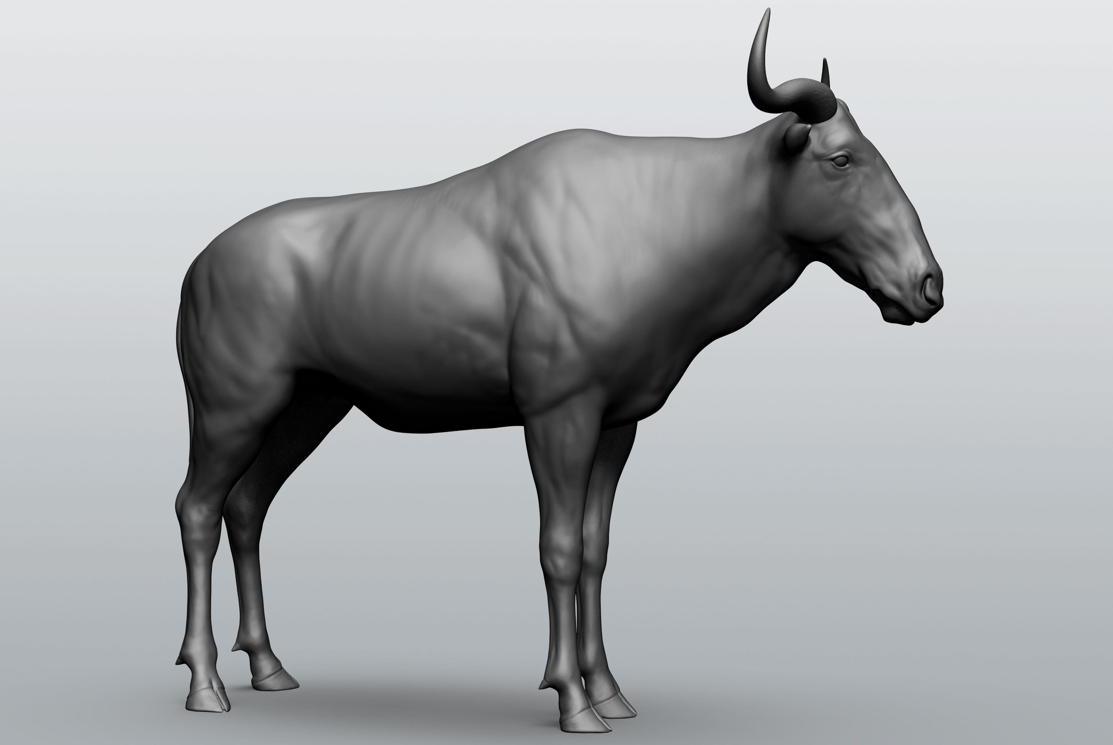Wild animal collection - 10 animals VOL-3 3D model_33