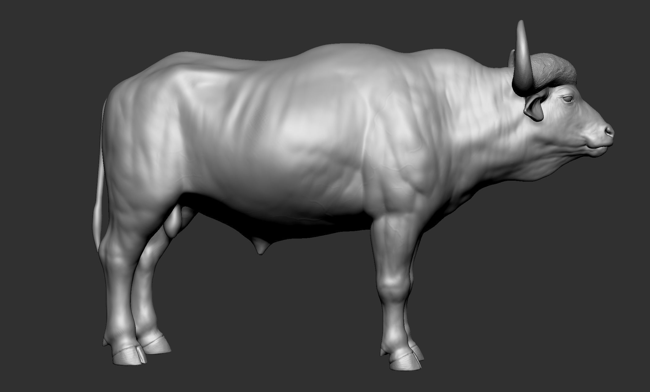 Wild animal collection - 10 animals VOL-3 3D model_12